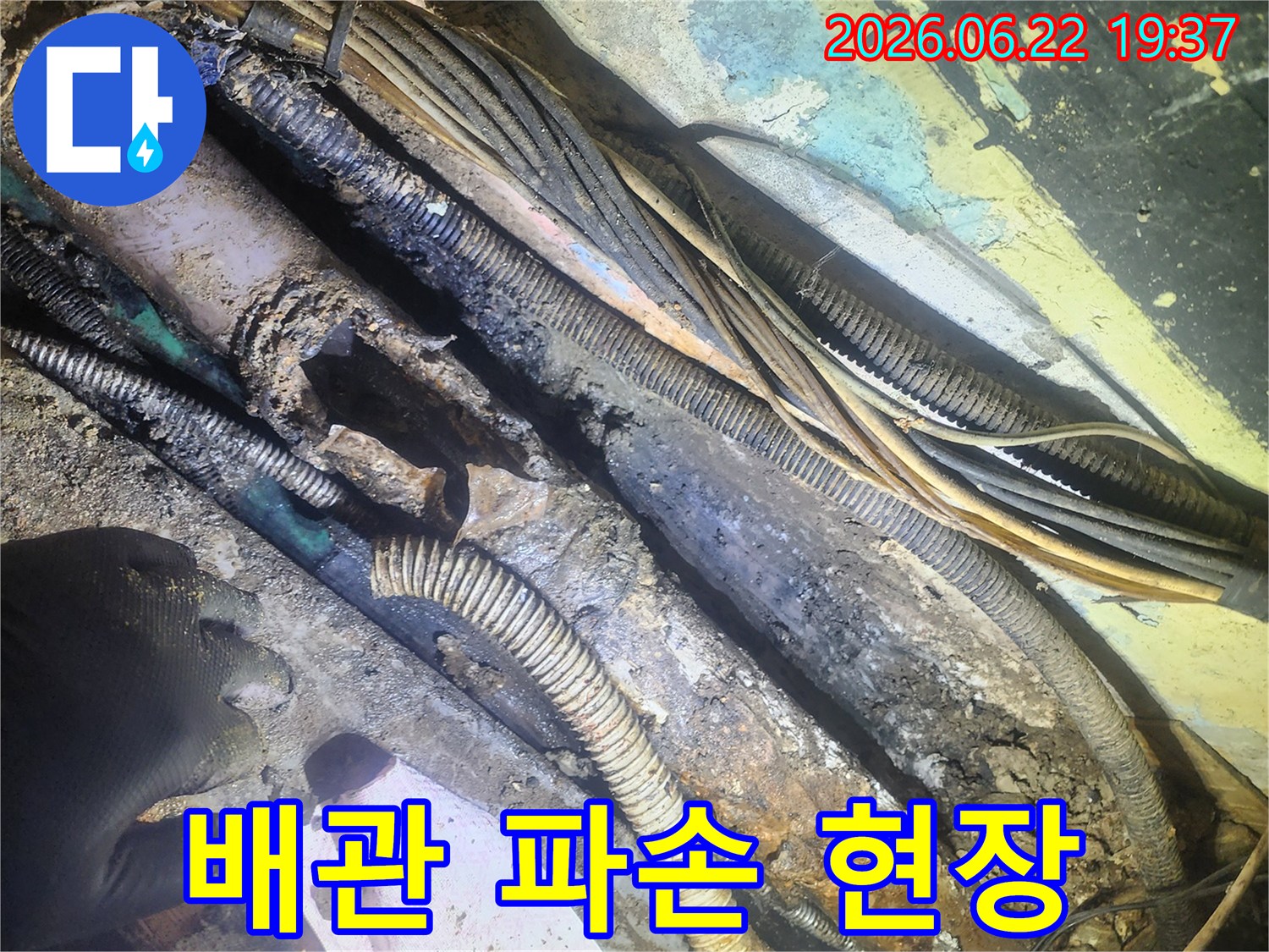 누수-공사-현장에서-발견된-심하게-손상된-배관과-주변-전선들