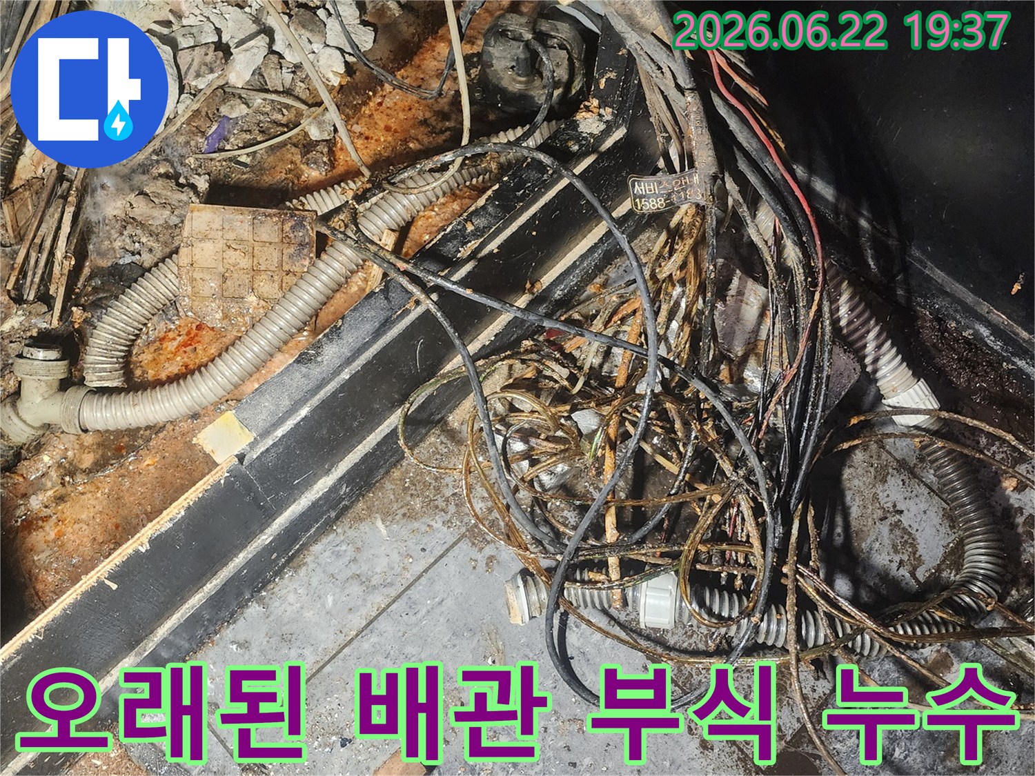누수-엔지니어가-오래된-배관의-심각한-부식-상태와-주변-누수-흔적을-정밀하게-조사하며-원인을-파악하고-있습니다