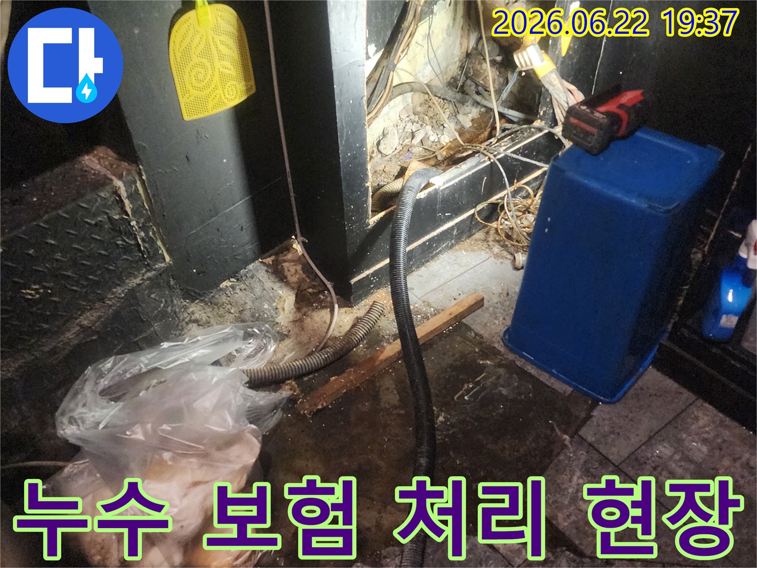 누수-탐지-및-보수-작업이-진행된-현장에서-보험-처리를-위한-자료를-준비하는-모습