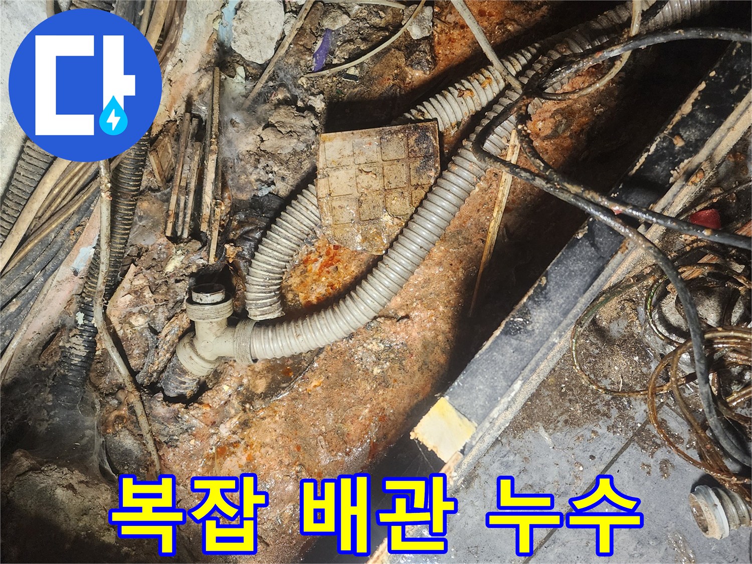 복잡하게-얽힌-지하-배관-사이에서-누수-지점을-찾아낸-모습