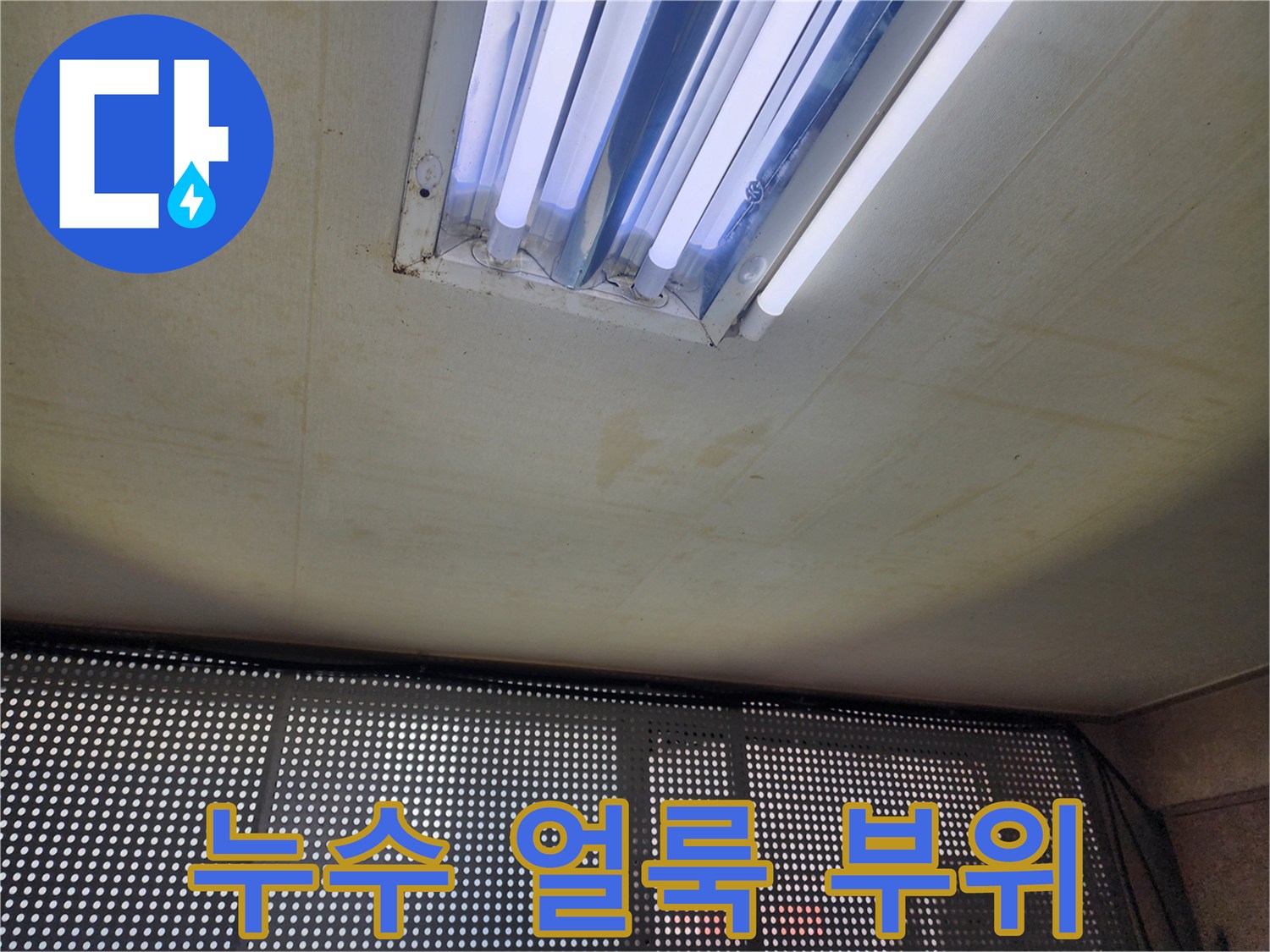 지행동 현장-천장 조명 근처의 누수 흔적과 습기 발생