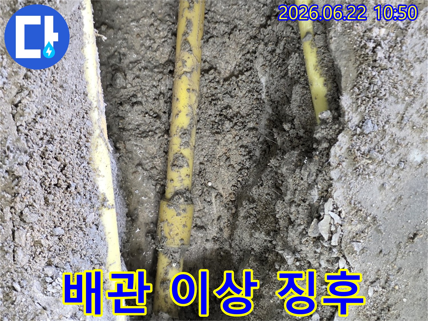 누수 발생 지점을 찾기 위해 땅을 파내어 드러난 배관의 상태를 면밀히 관찰하는 작업