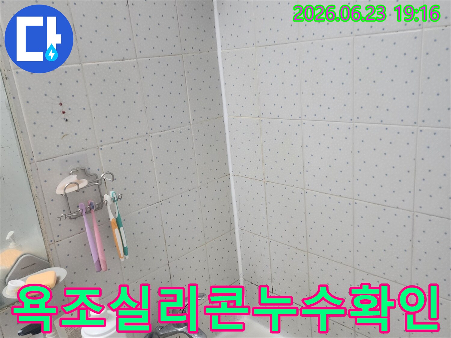 동대문구-사가정로-아파트-욕실-누수-욕조-주변-실리콘-상태-정밀-확인