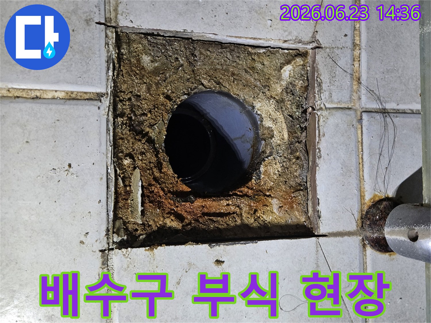 욕실 바닥의 배수구 주변이 심하게 부식되고-타일이 깨진 상태를 보여주는 누수 현장 사진