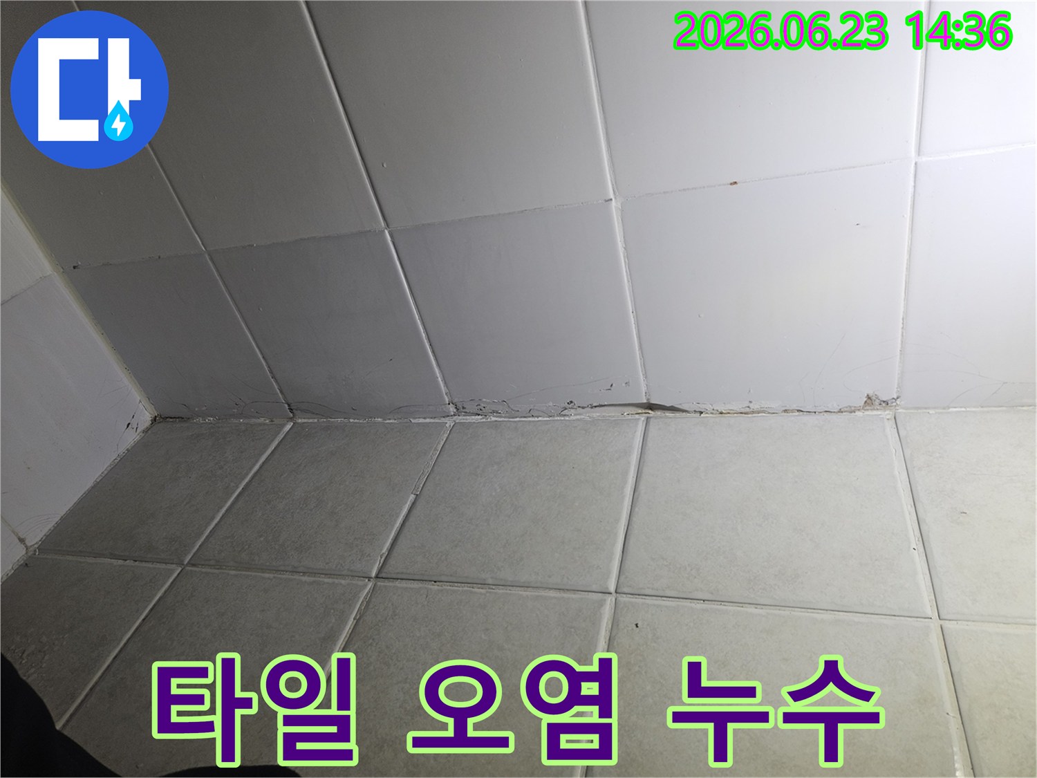 타일-벽과-바닥의-경계면에서-발견된-오염과-곰팡이는-지속적인-누수로-인한-습기-축적의-결과입니다-이는-건물의-구조적-손상으로-이어질-수-있습니다.