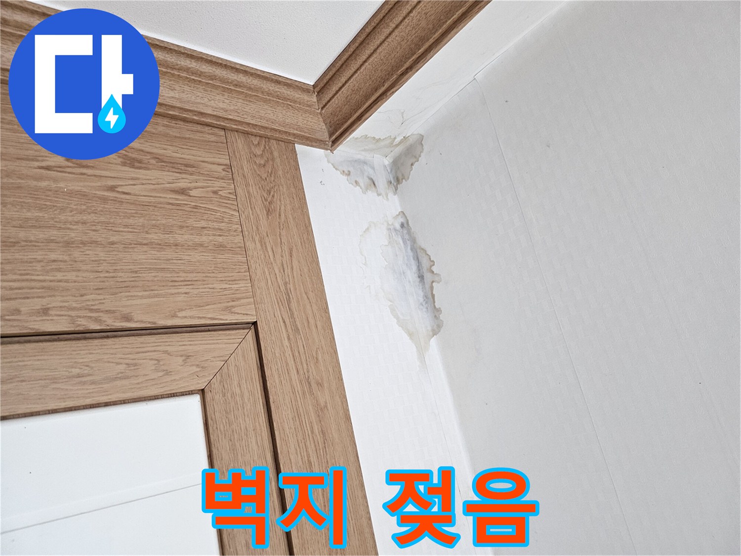 이 이미지는-벽과 천장 모서리에-누수로 인한-젖은 자국과-곰팡이가 생긴-모습을 보여줍니다.