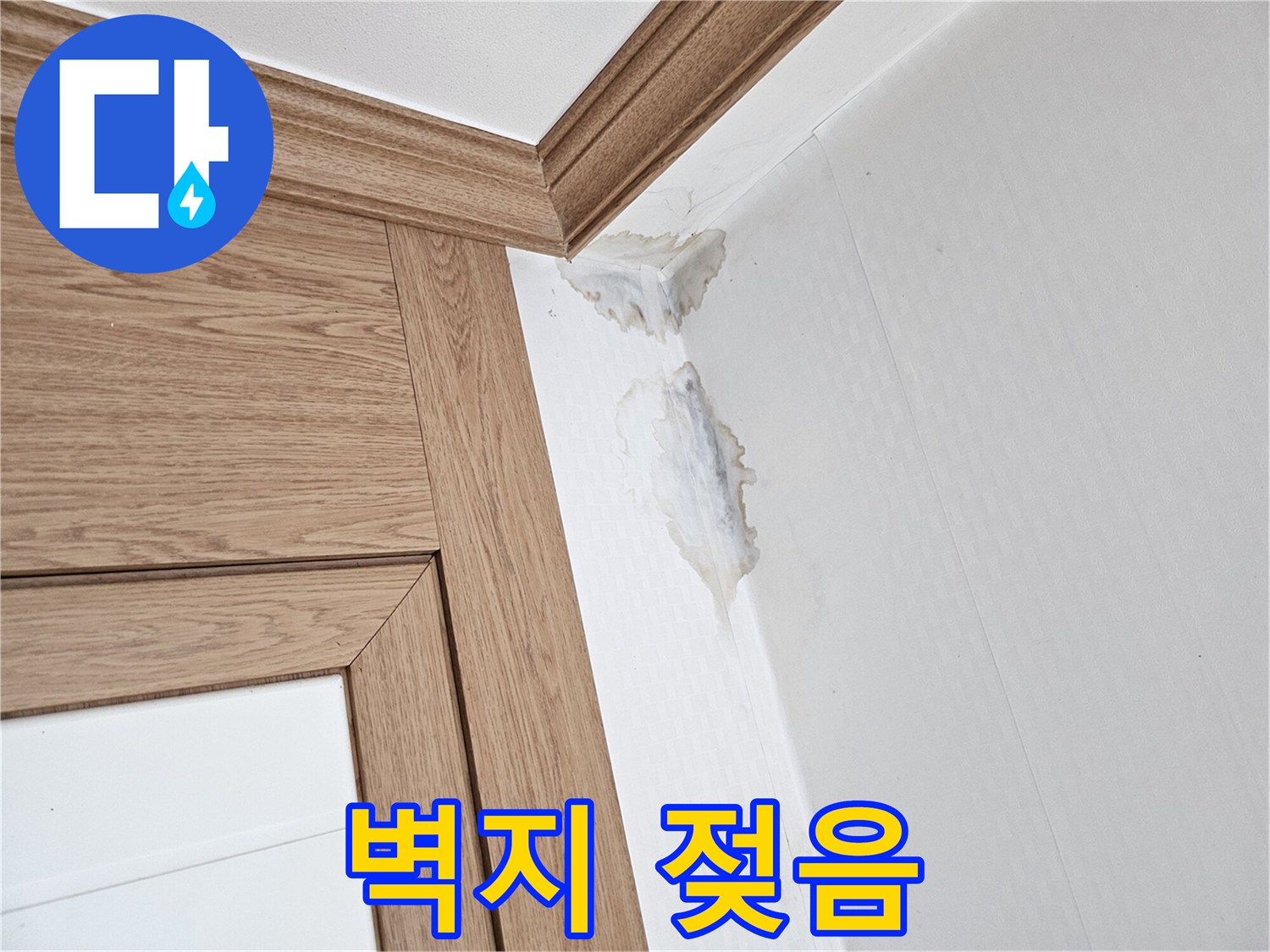 이 이미지는-벽과 천장 모서리에-누수로 인한-젖은 자국과-곰팡이가 생긴-모습을 보여줍니다.