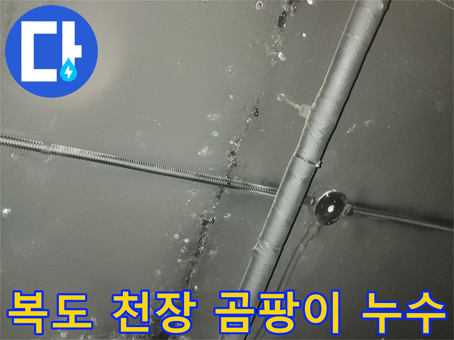 복도 천장에 누수로 인해-발생한 검은 곰팡이와-물자국을 보여주는 사진입니다