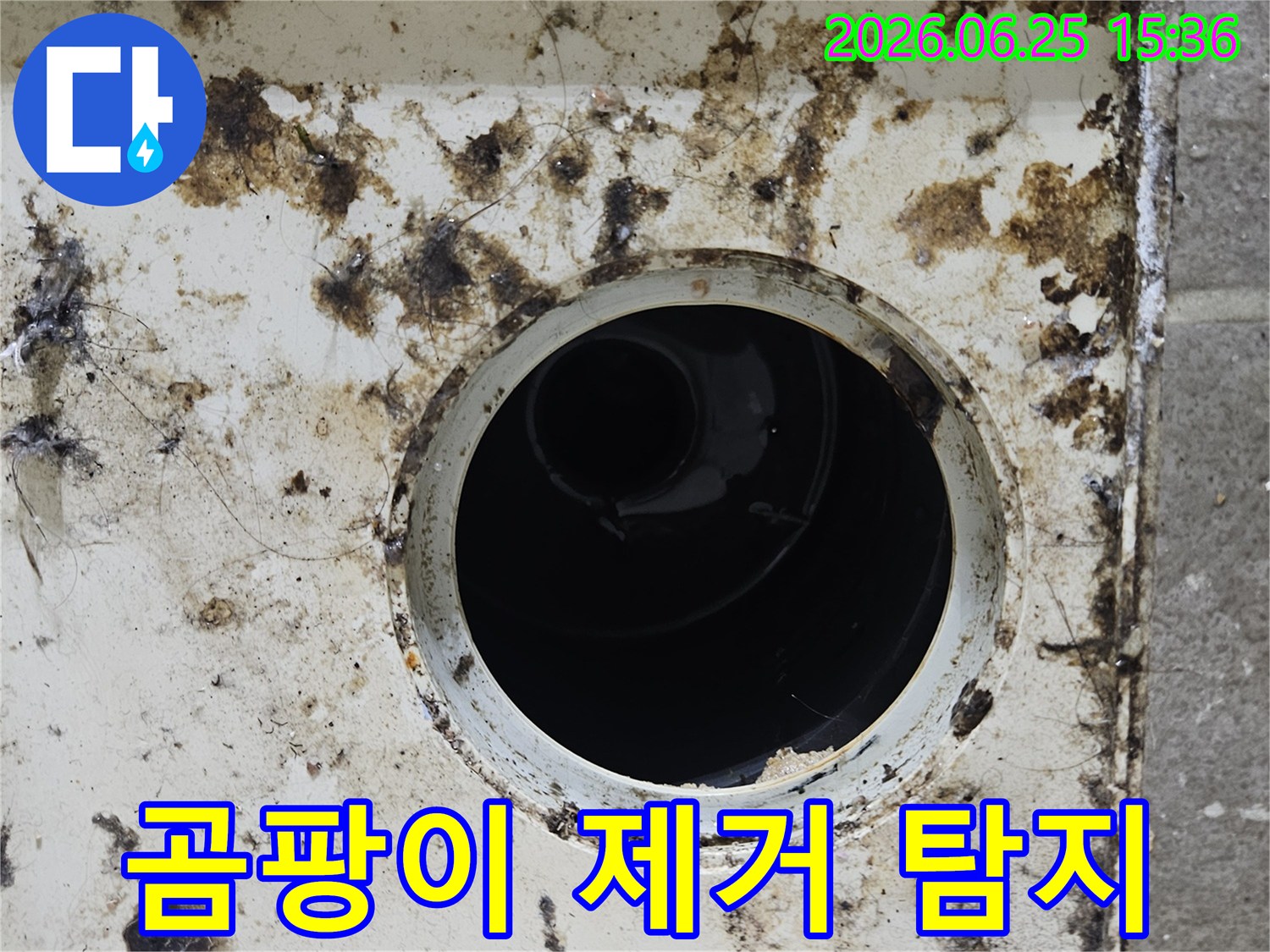 오염된 배수구 주변에 검은 곰팡이와 찌든 때가 심하게 낀 모습-곰팡이 제거 후 정밀 누수 탐지가 필요합니다