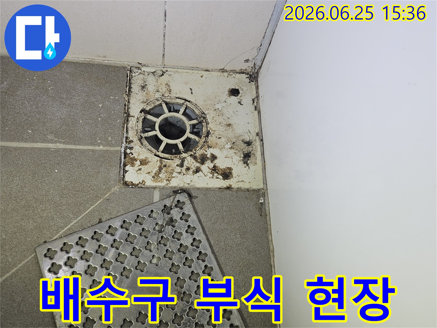 욕실-바닥-배수구의-심각한-부식과-오염-상태-누수-진단을-위해-커버가-제거된-모습