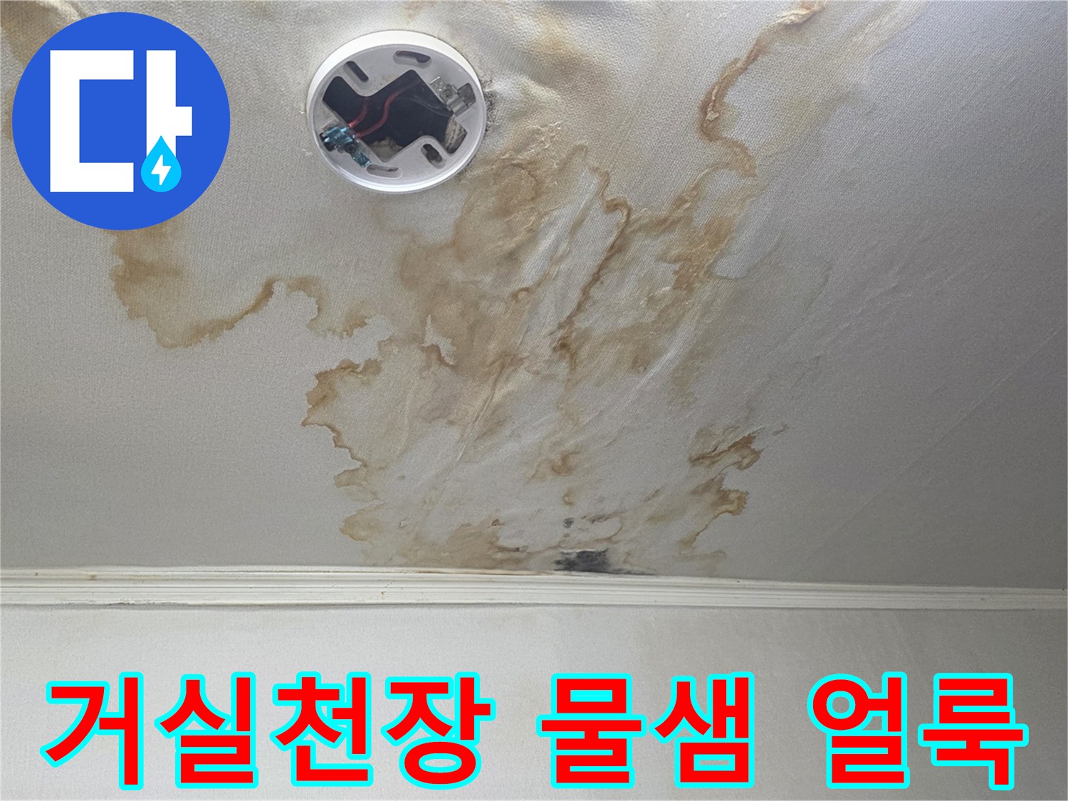 강서구 가양동 아파트 거실 천장의 광범위한 누수 변색 현상