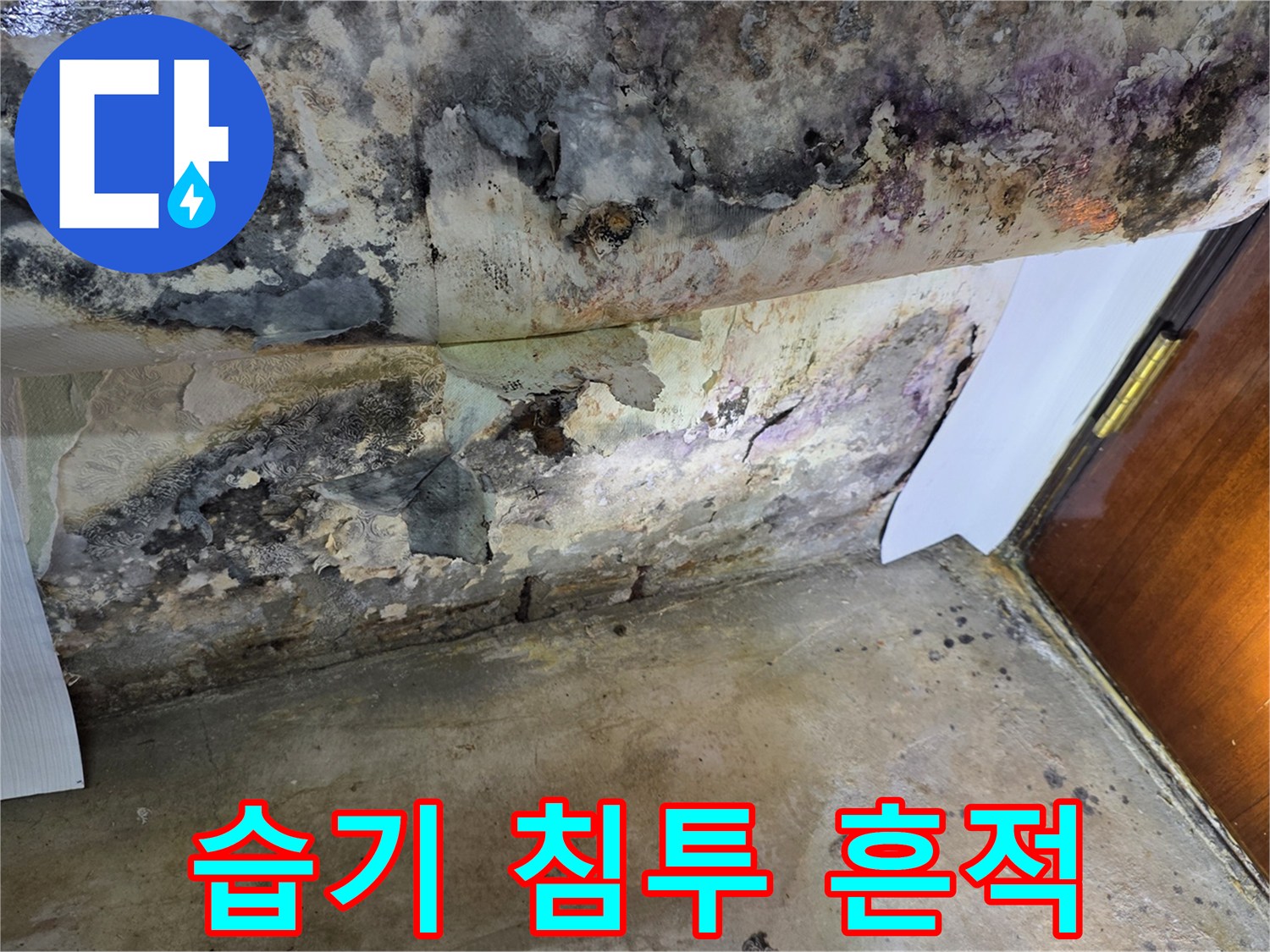 변색된 천장 표면 - 지속적인 습기 유입으로 인한 오염