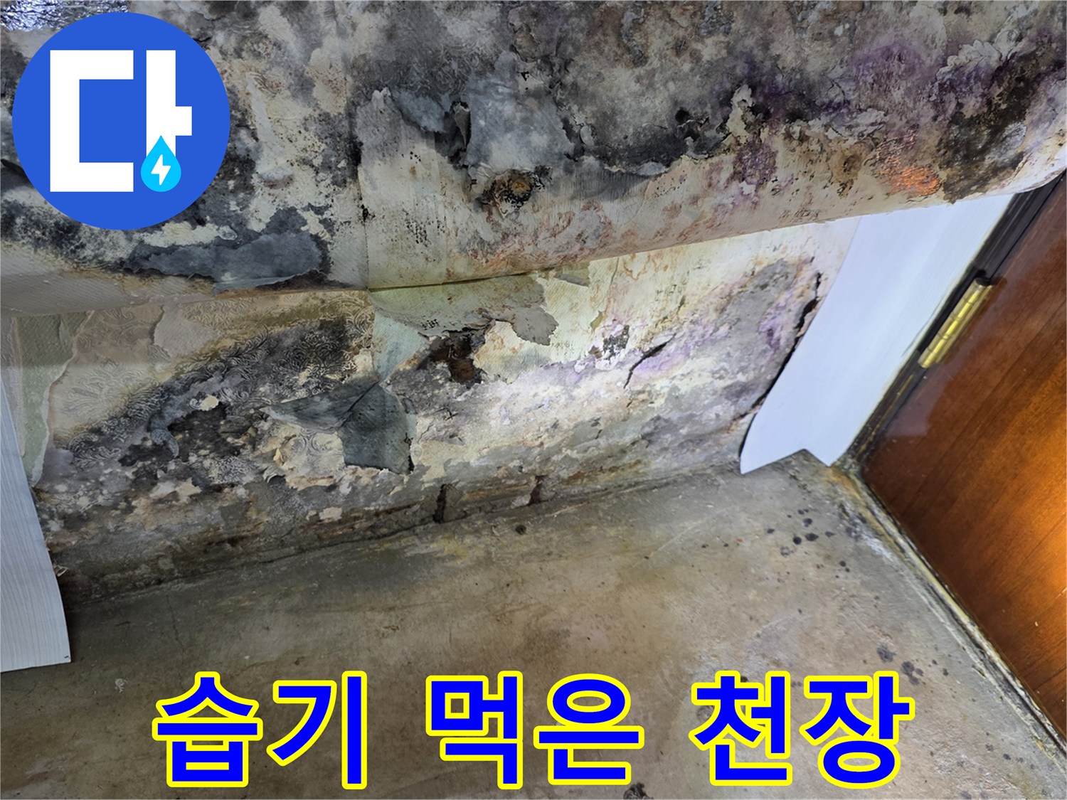 습기와-곰팡이가-섞인-천장 마감재