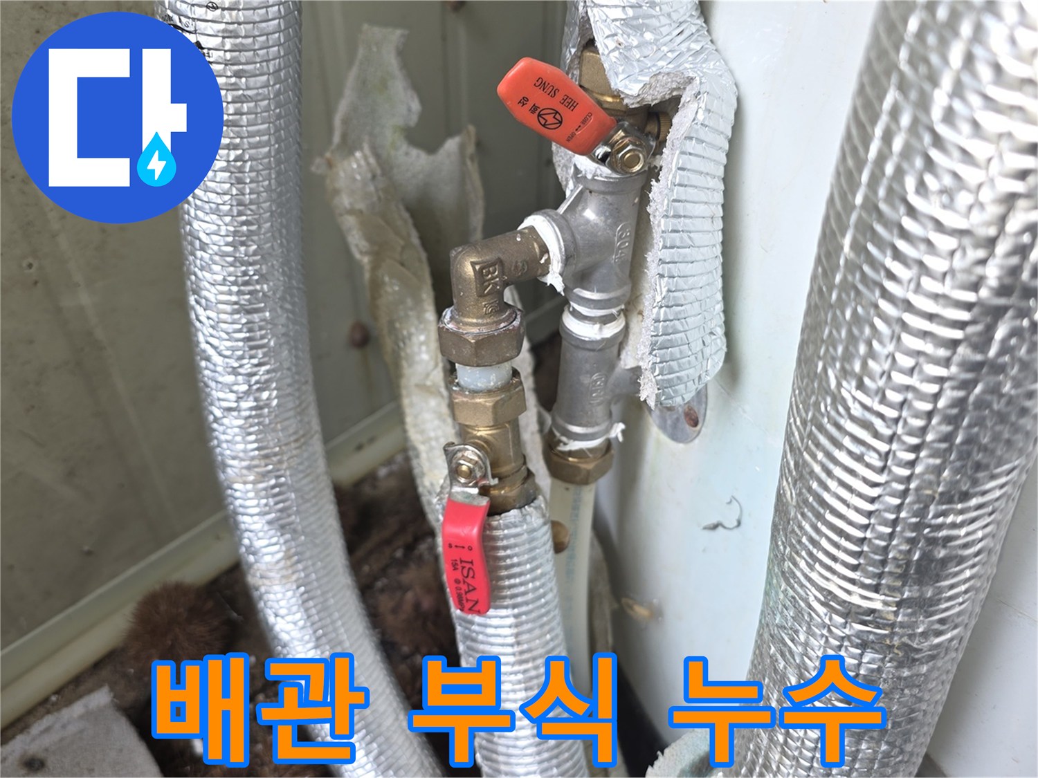 이천시-모가면-빌라의-배관-부식으로-인한-누수-현장에서-전문-엔지니어가-정확한-진단과-해결책을-제시하는-사진입니다.