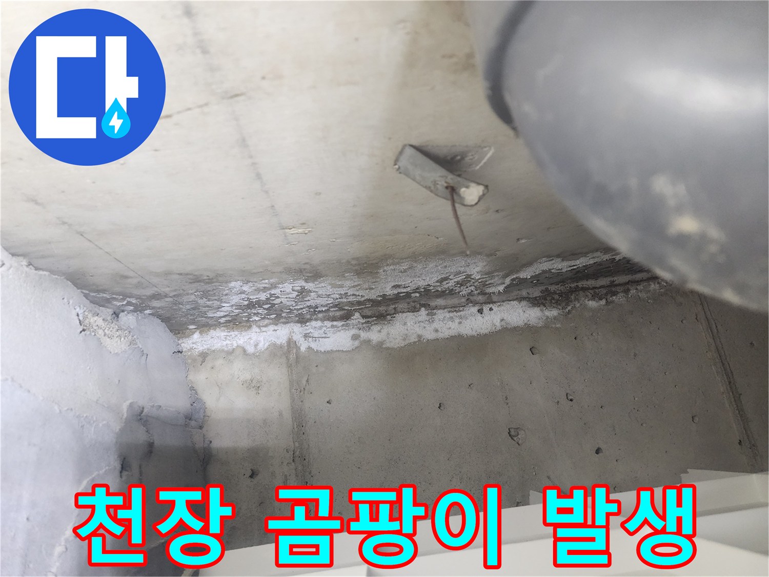 도봉구 한양아파트에서-천장 누수로 인해-발생한 곰팡이와-백화 현장입니다