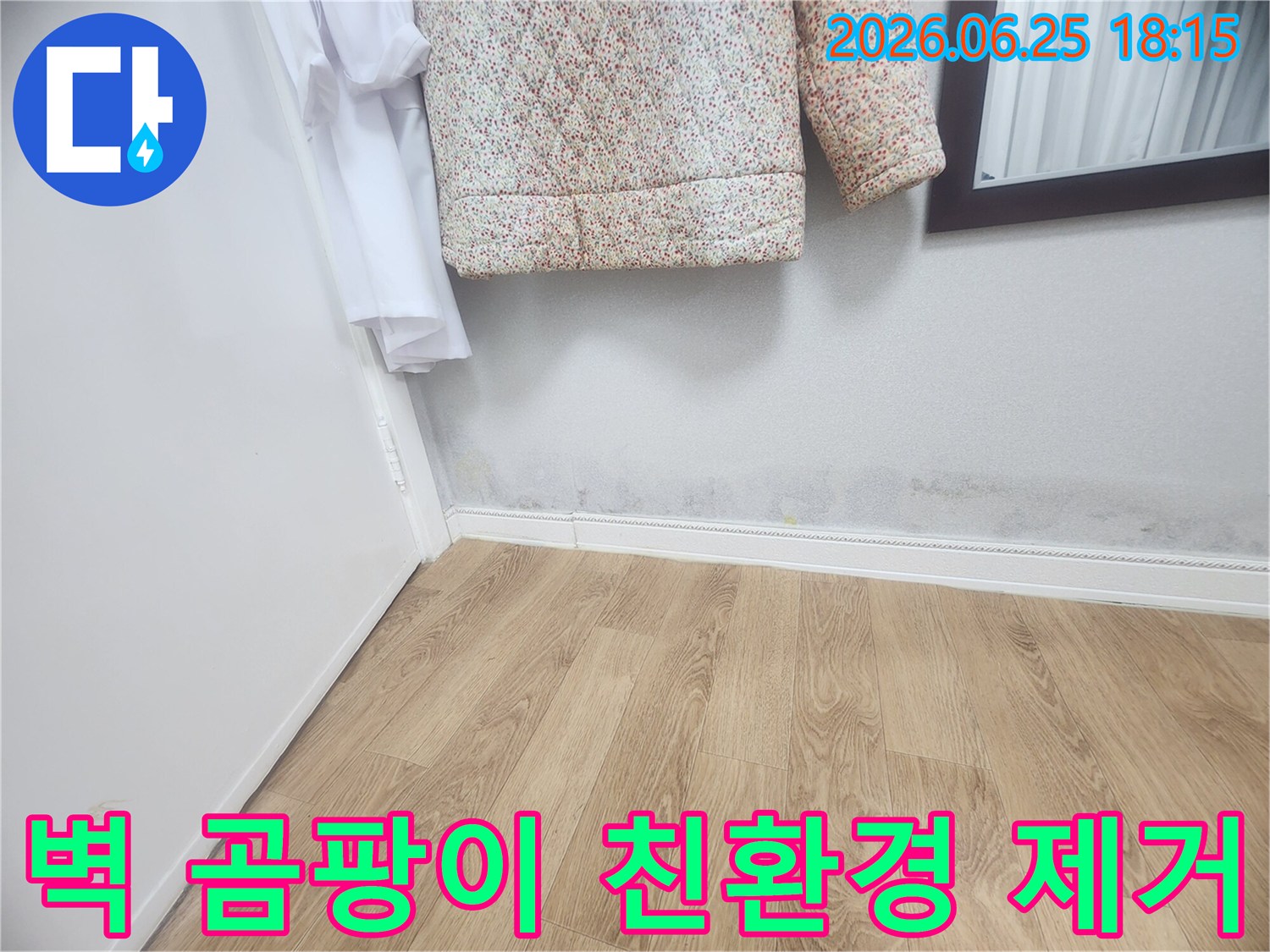 벽 하단에 발생한 곰팡이와-습기 자국은-누수로 인한 것임을 보여주며-친환경적인 방법으로-곰팡이를 제거하고-누수를 해결해야 합니다.