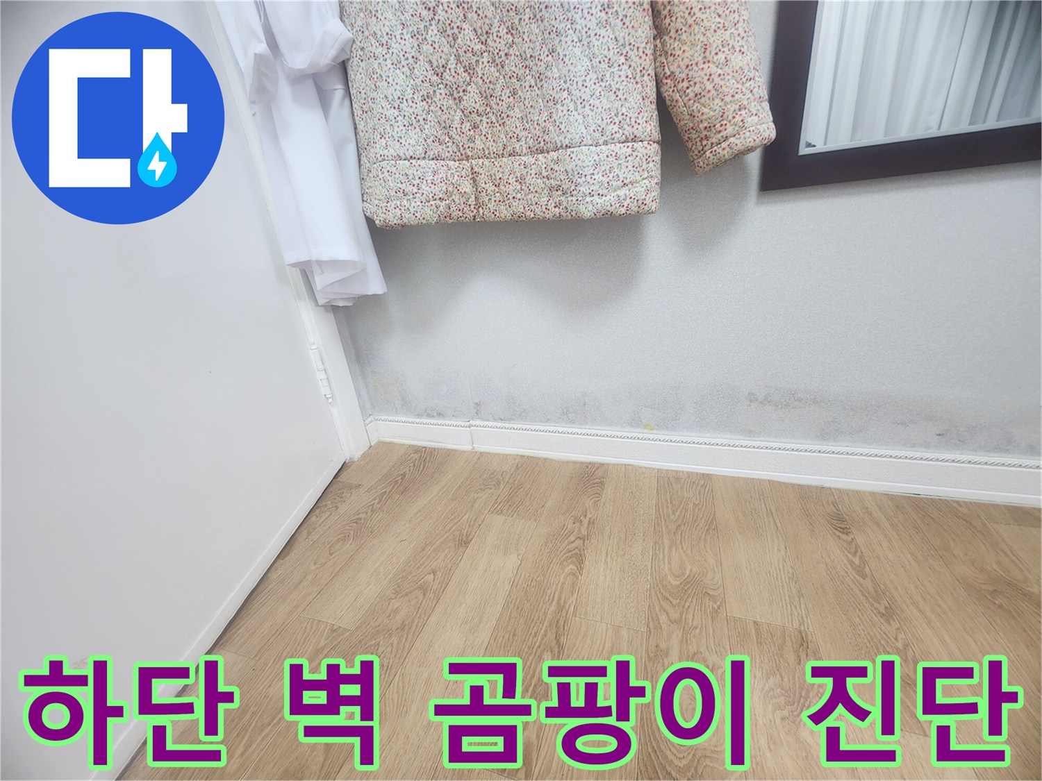 벽 하단에 발생한 곰팡이와-젖은 흔적은-누수가 진행되고 있음을 보여주며-전문가의 현장 방문 진단이-시급함을 나타냅니다.
