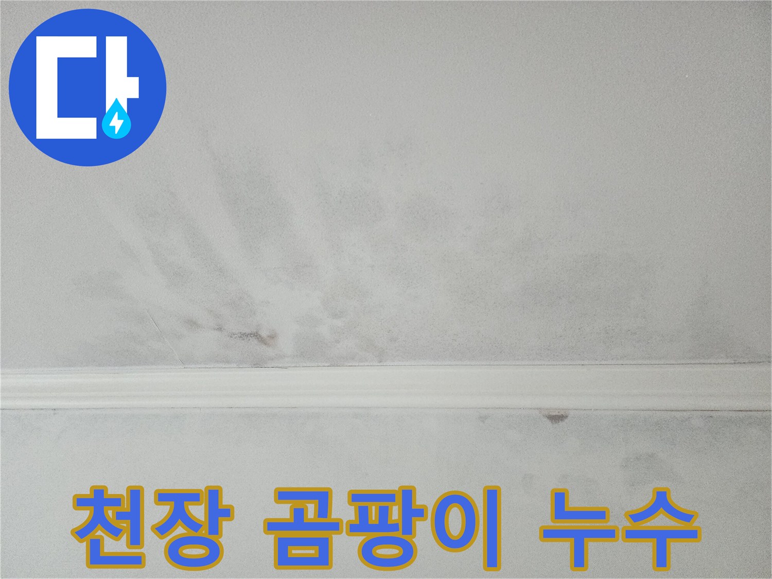 천장 곰팡이와 물자국이 혼재된 모습-누수와 결로의 복합적인 문제일 수 있습니다