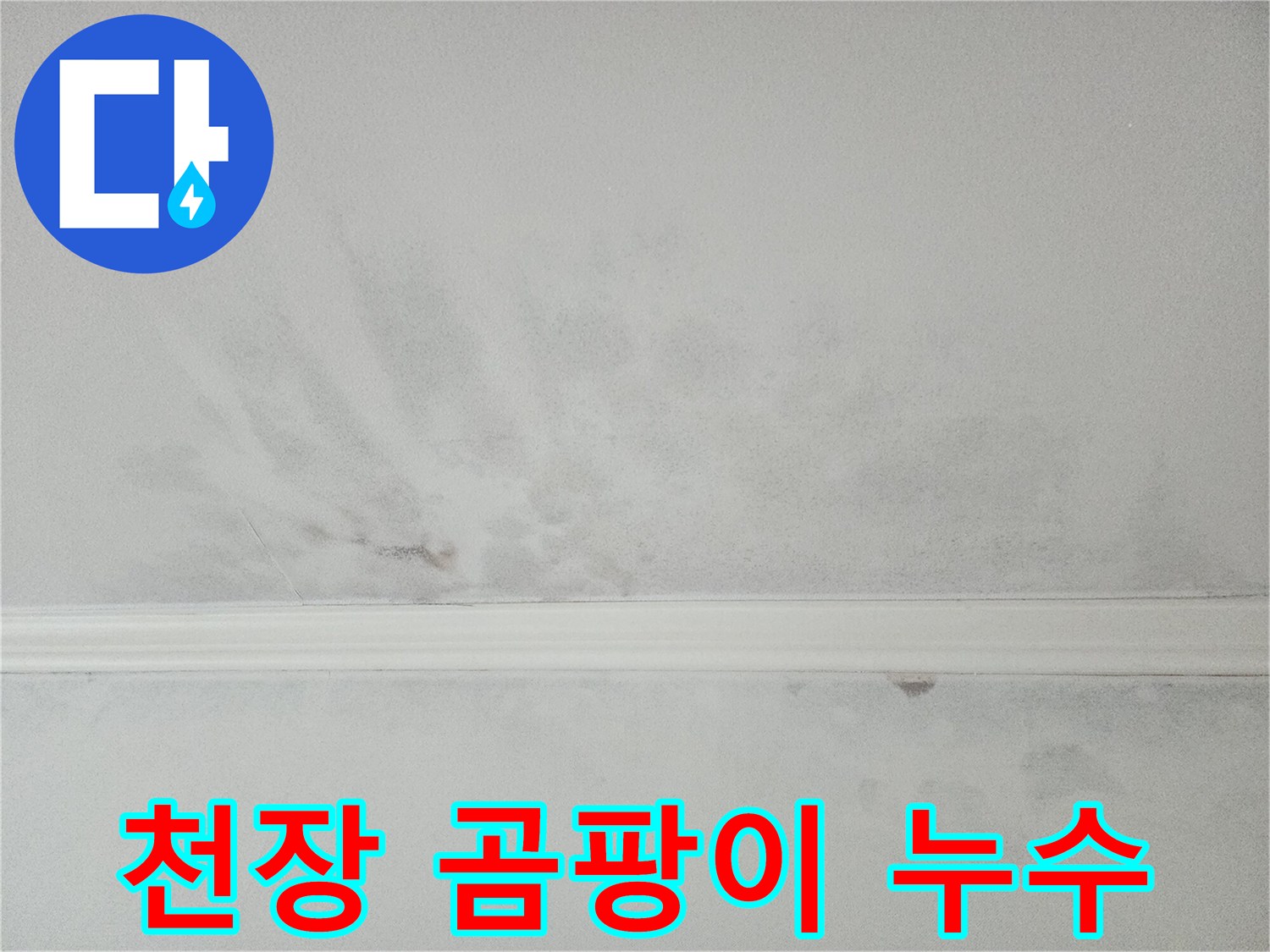 천장 곰팡이와 물자국이 혼재된 모습-누수와 결로의 복합적인 문제일 수 있습니다