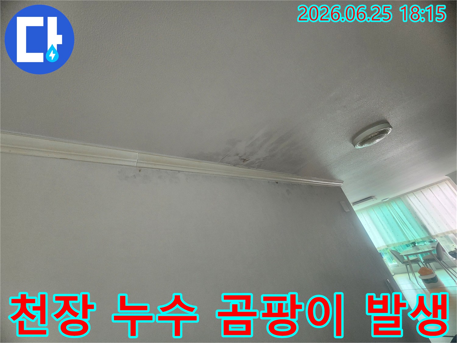 천장-모서리에-누수로-인한-곰팡이-발생이-확인되어-위생상-문제가-우려됩니다