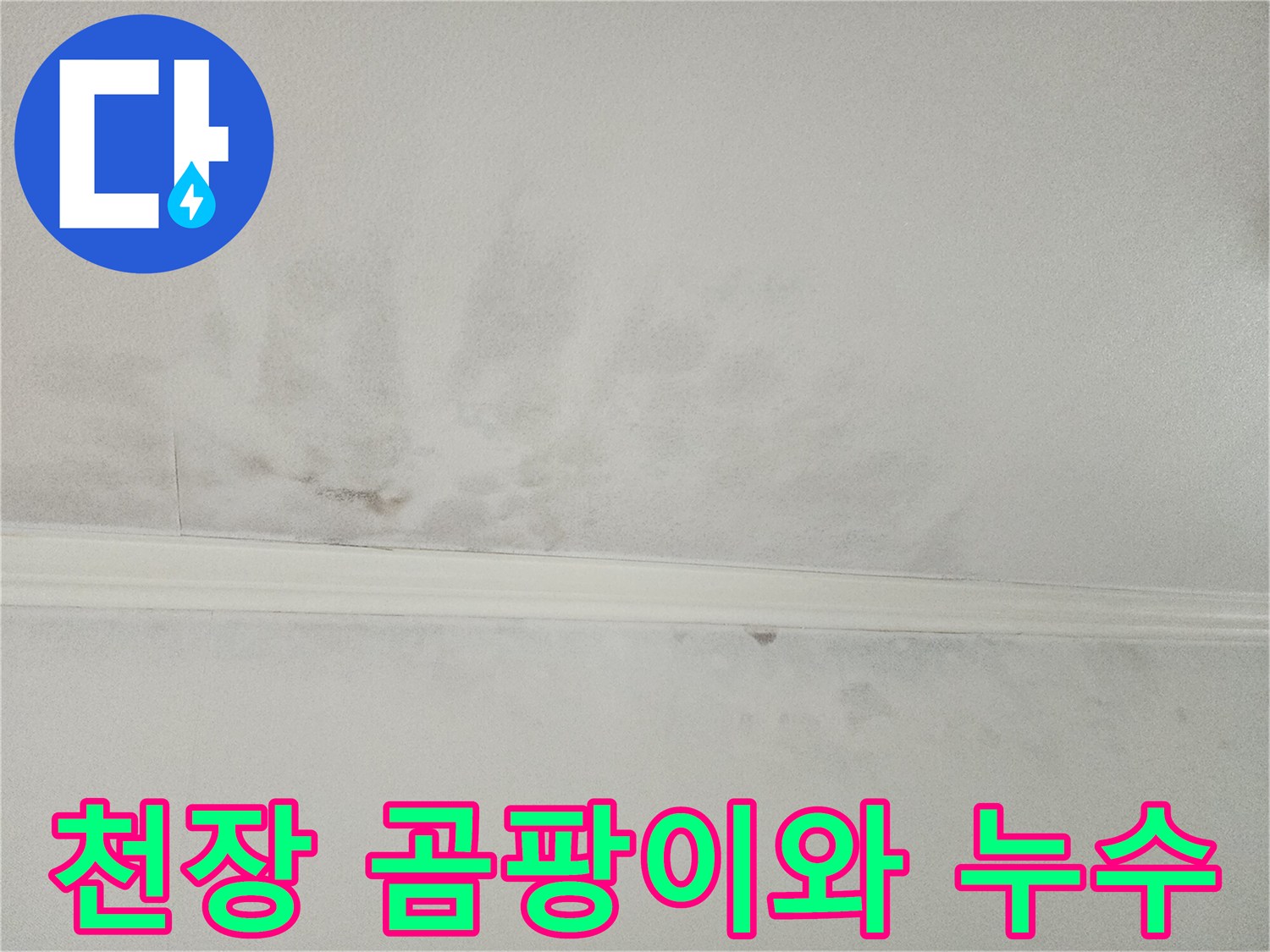 천장에 넓게 퍼진-물자국과 함께-생겨난 곰팡이로-누수와 습기 피해를-명확히 보여주고 있습니다