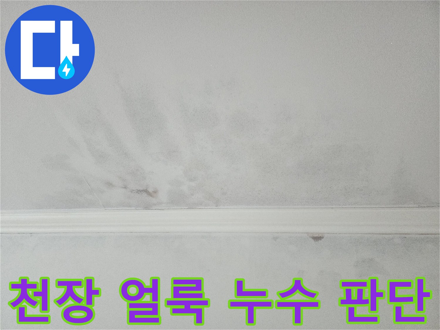 천장에 생긴 오래된 얼룩과 새로운 물자국-누수 여부 판단이 필요합니다