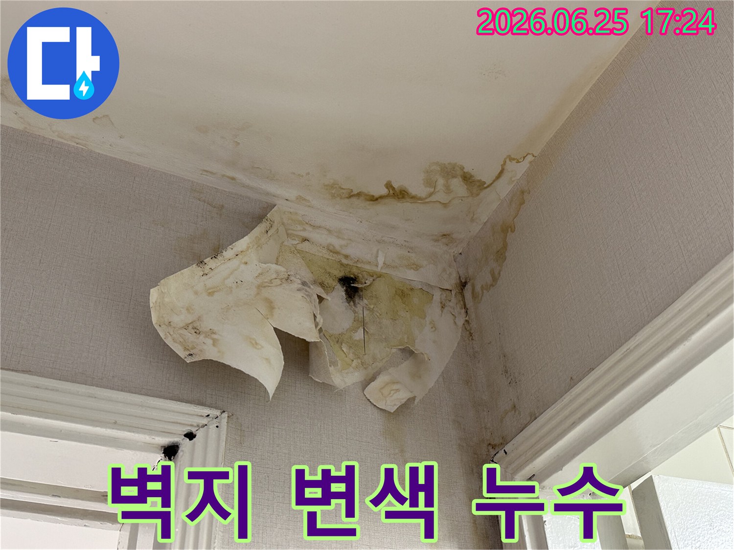 누수로 인해-천장과 벽지가-물에 젖어 변색되고-곰팡이가 발생한-심각한 피해 현장입니다
