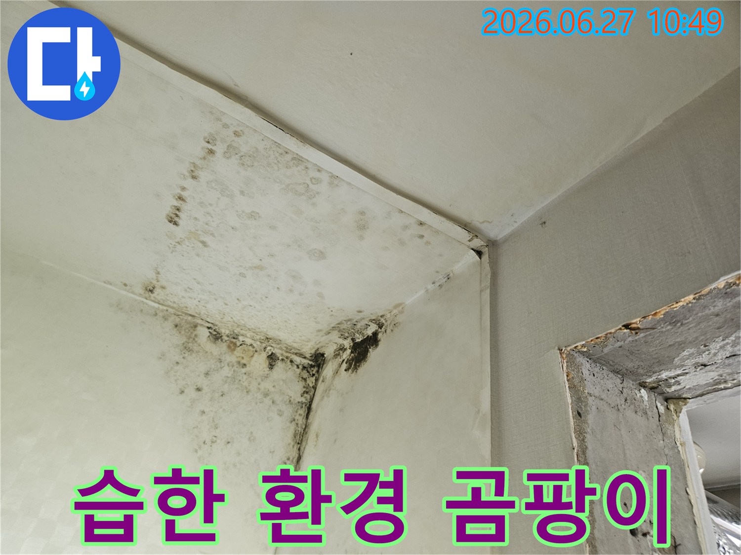 오래된 건물에서 흔히 발견되는-천장과 벽의 모서리에 심각하게 발생한 곰팡이의 모습입니다-이는 장기간의 누수나 고습도 환경을 의미합니다.