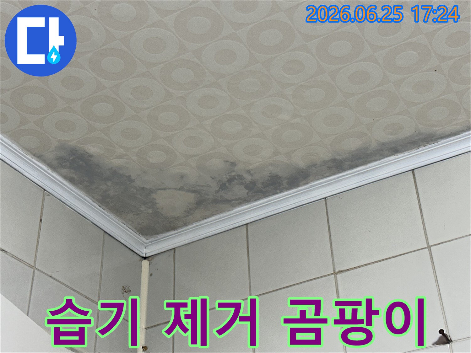 천장 마감재에 스며든 물기로 인해 생긴 얼룩과 곰팡이-누수 피해의 전형적인 모습입니다