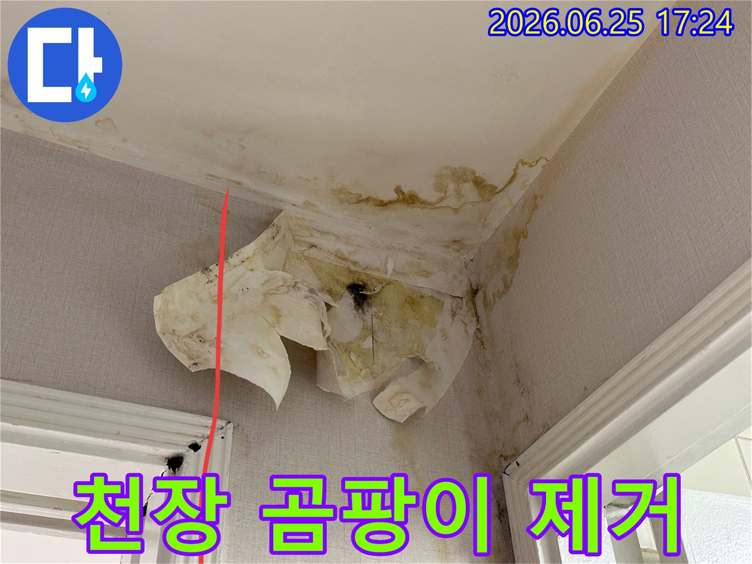 천장과 벽면의 곰팡이와 물 얼룩은 심각한 누수 문제와 그로 인한 구조적 손상을 시사합니다.