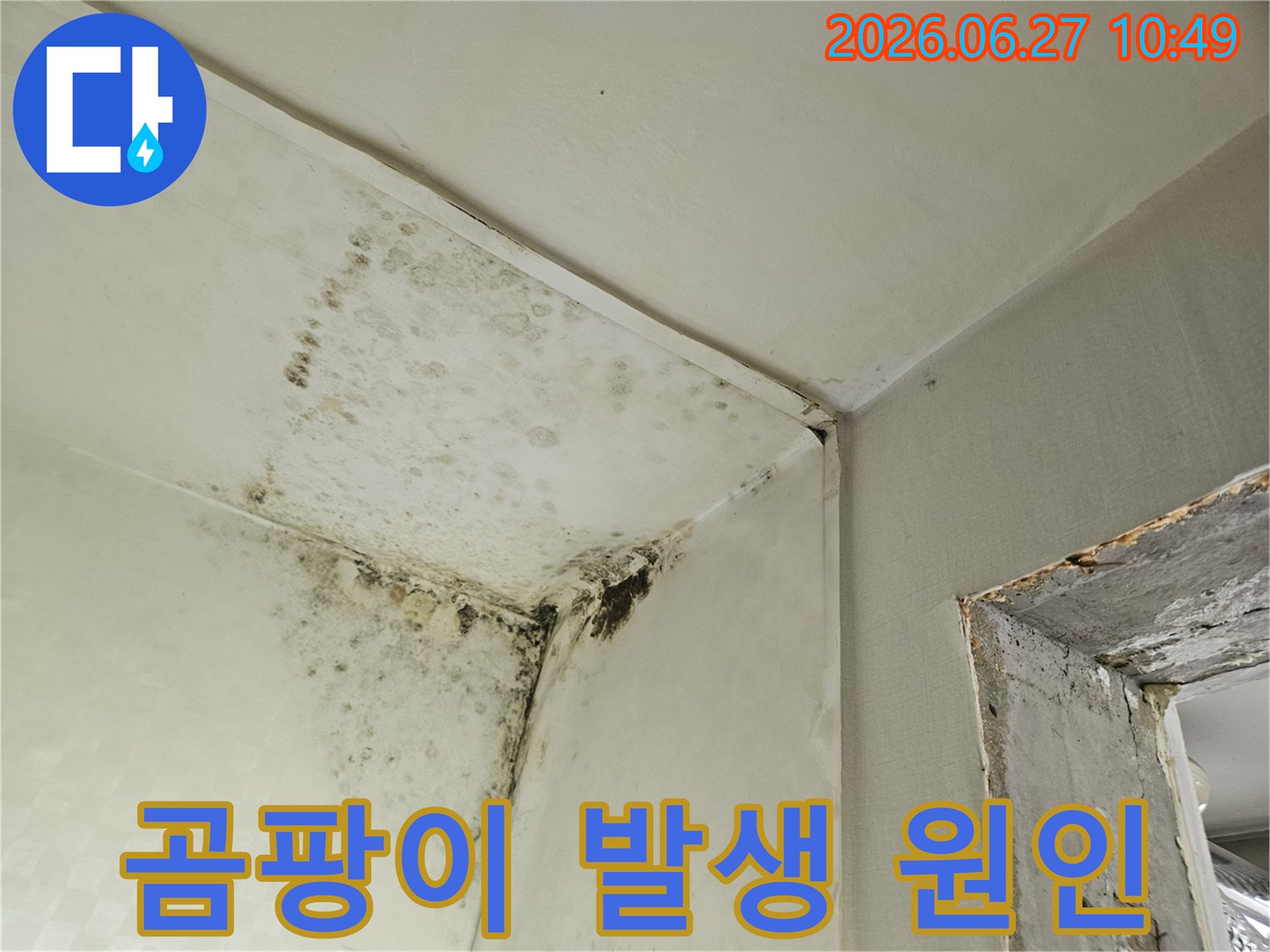 천장과 벽의 접합부에 생긴 검은색 곰팡이로-누수나 결로로 인한 습기 피해의 명확한 증거입니다-이는 주택 내부의 위생과 구조적 문제점을 보여줍니다.