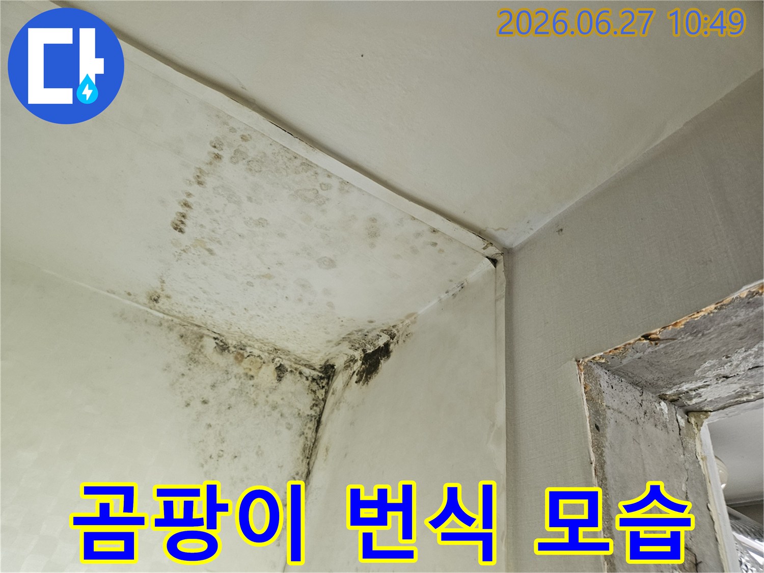 천장과 벽의 접합부에 생긴 검은색 곰팡이로-누수나 결로로 인한 습기 피해의 명확한 증거입니다-이는 주택 내부의 위생과 구조적 문제점을 보여줍니다.