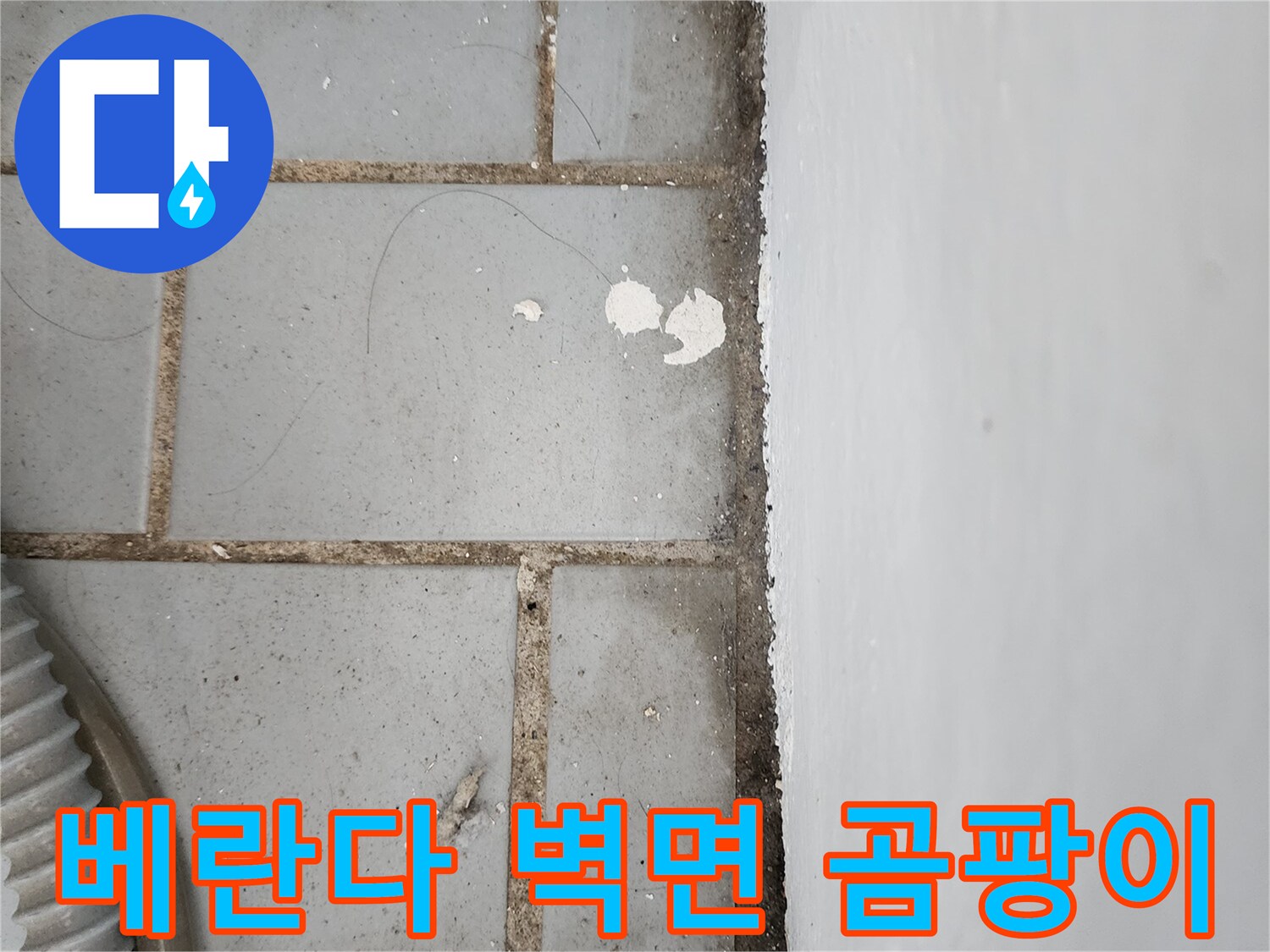 타일 사이로 스며든 물로 인한 벽면 곰팡이 발생 부위