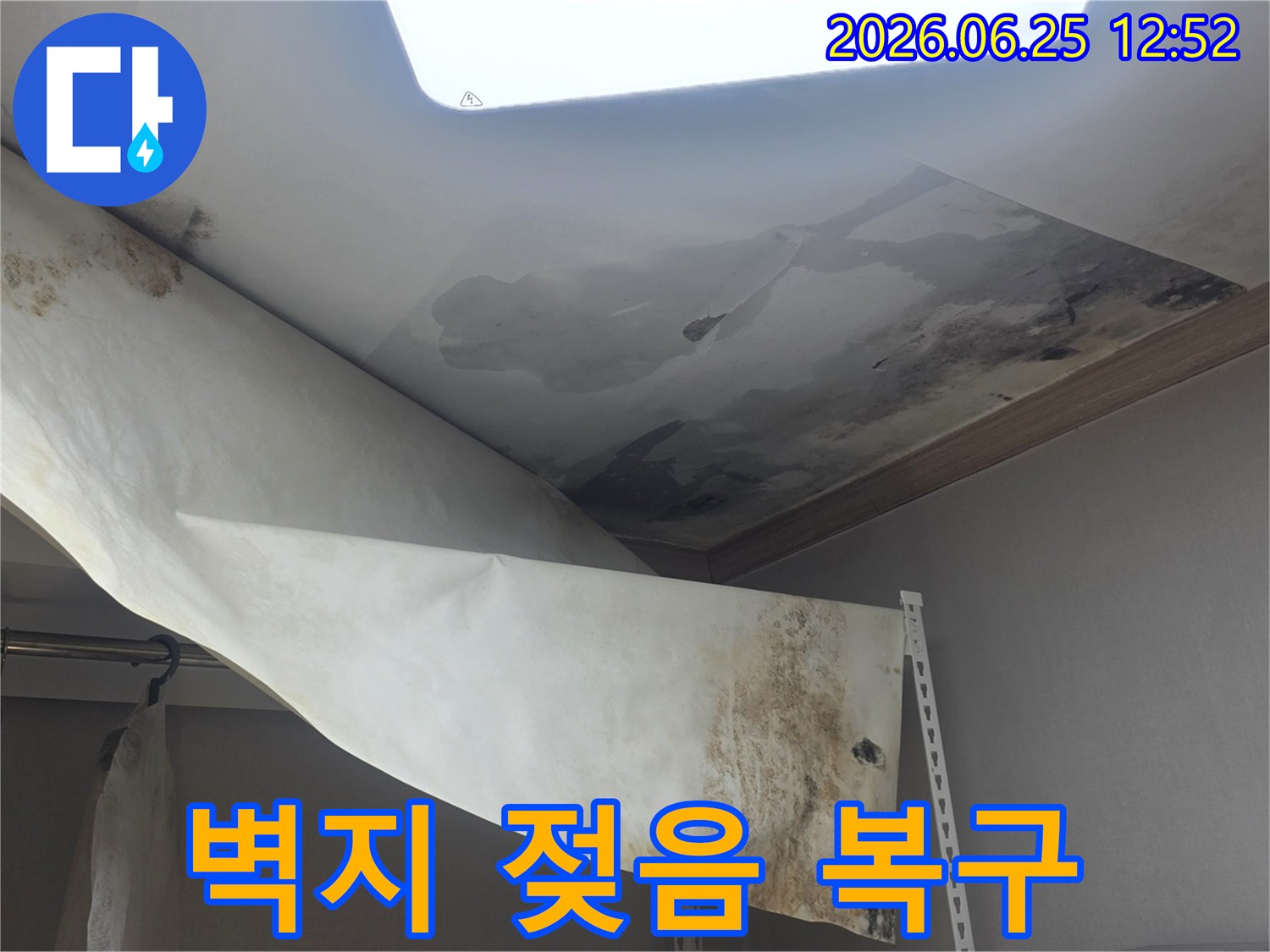천장 벽지가 물에 젖어-심하게 손상되고-곰팡이가 번식한-누수 피해 현장입니다