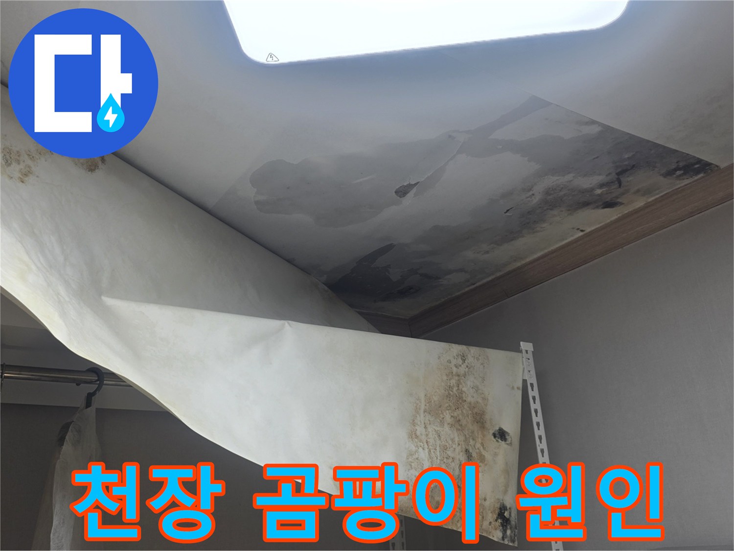 천장 벽지에 생긴-심한 곰팡이와-물에 젖어 떨어진-누수 피해 현장입니다