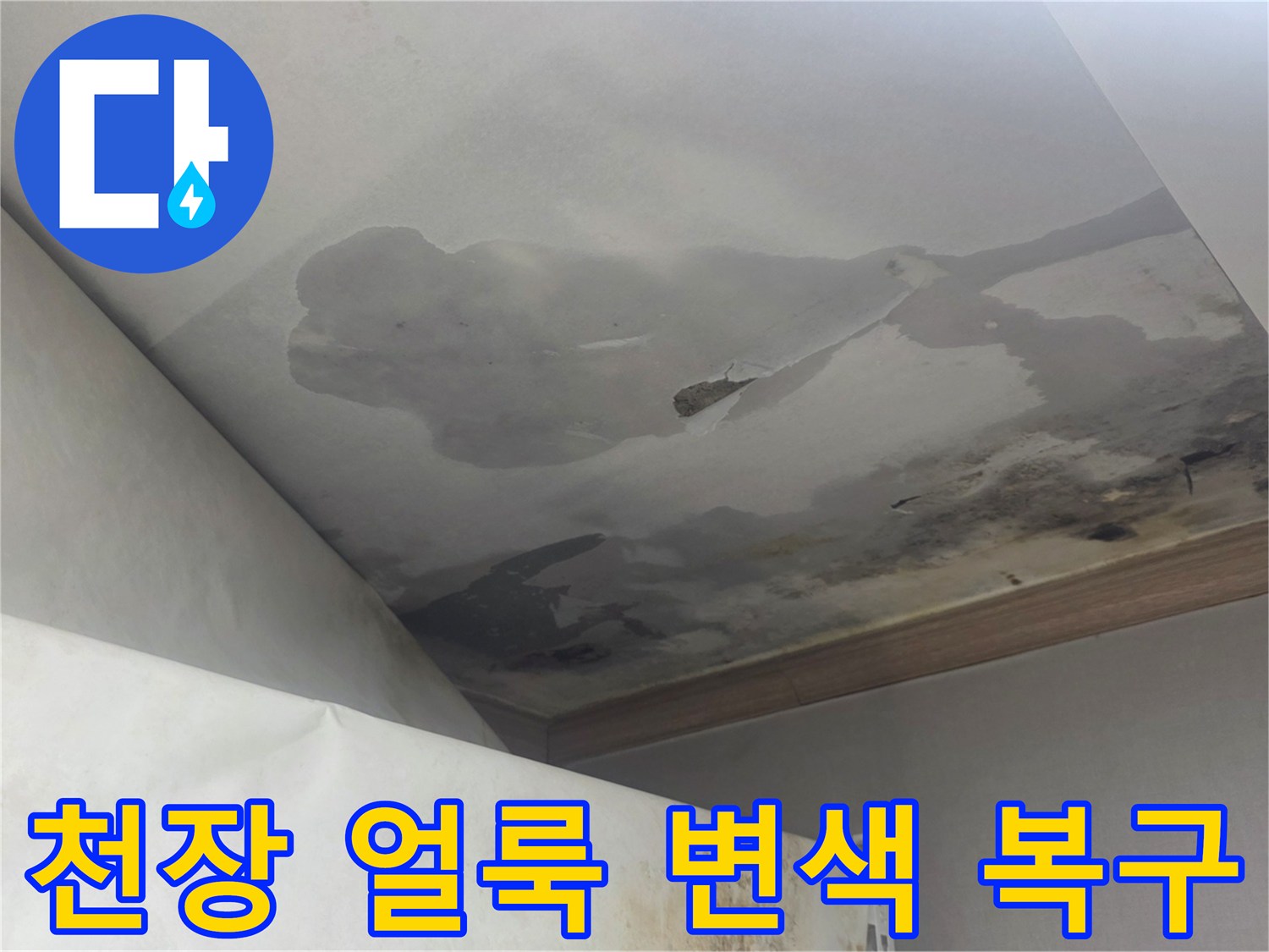천장에 넓게 퍼진 물 얼룩과 변색은-윗집 누수로 인한 피해이며-전문적인 복구 작업이 필요합니다.