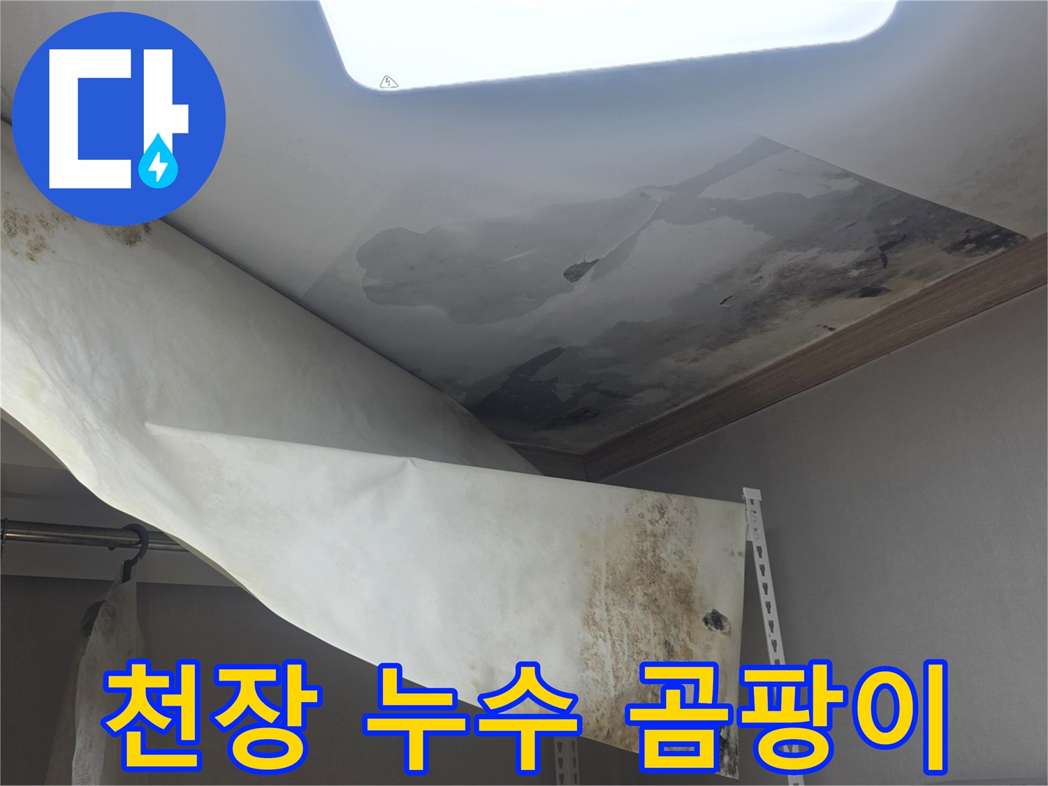 천장에서 물이 새서-벽지가 젖고-곰팡이가 심하게 생긴 모습입니다