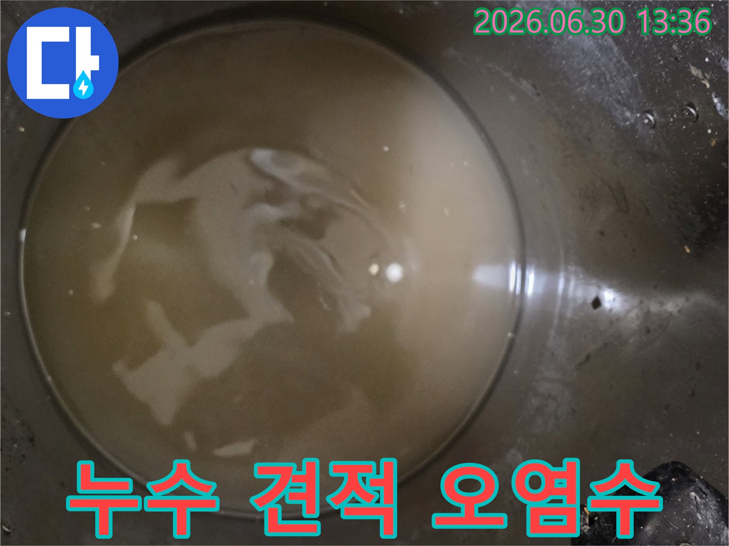 누수-탐지-견적-산정을-위해-수집된-탁한-배관-물-배관-내부-오염-상태-확인-합리적인-비용-제시