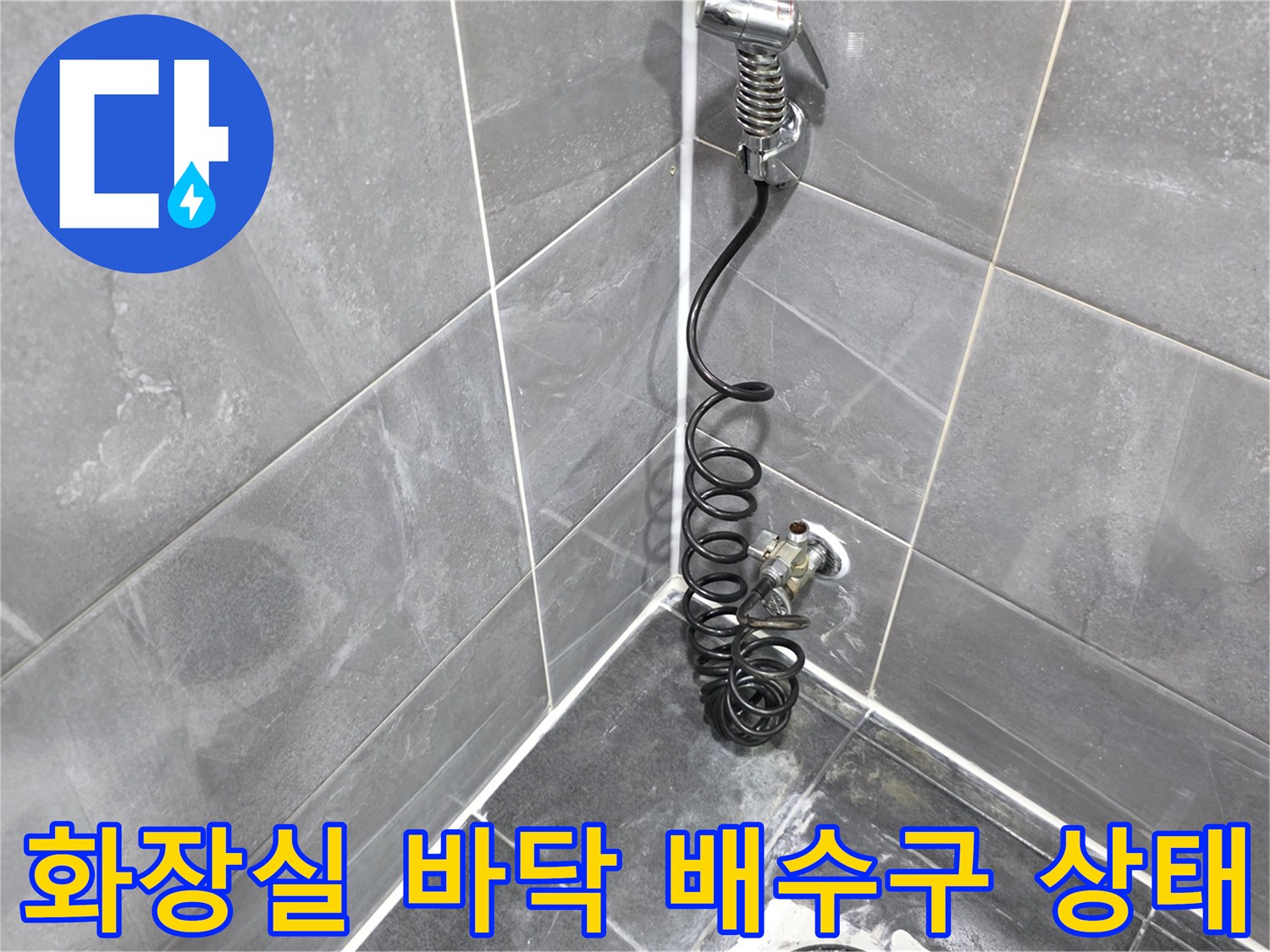 안양 동안구 화장실-배수구 주변 타일 및 배관 점검 사진