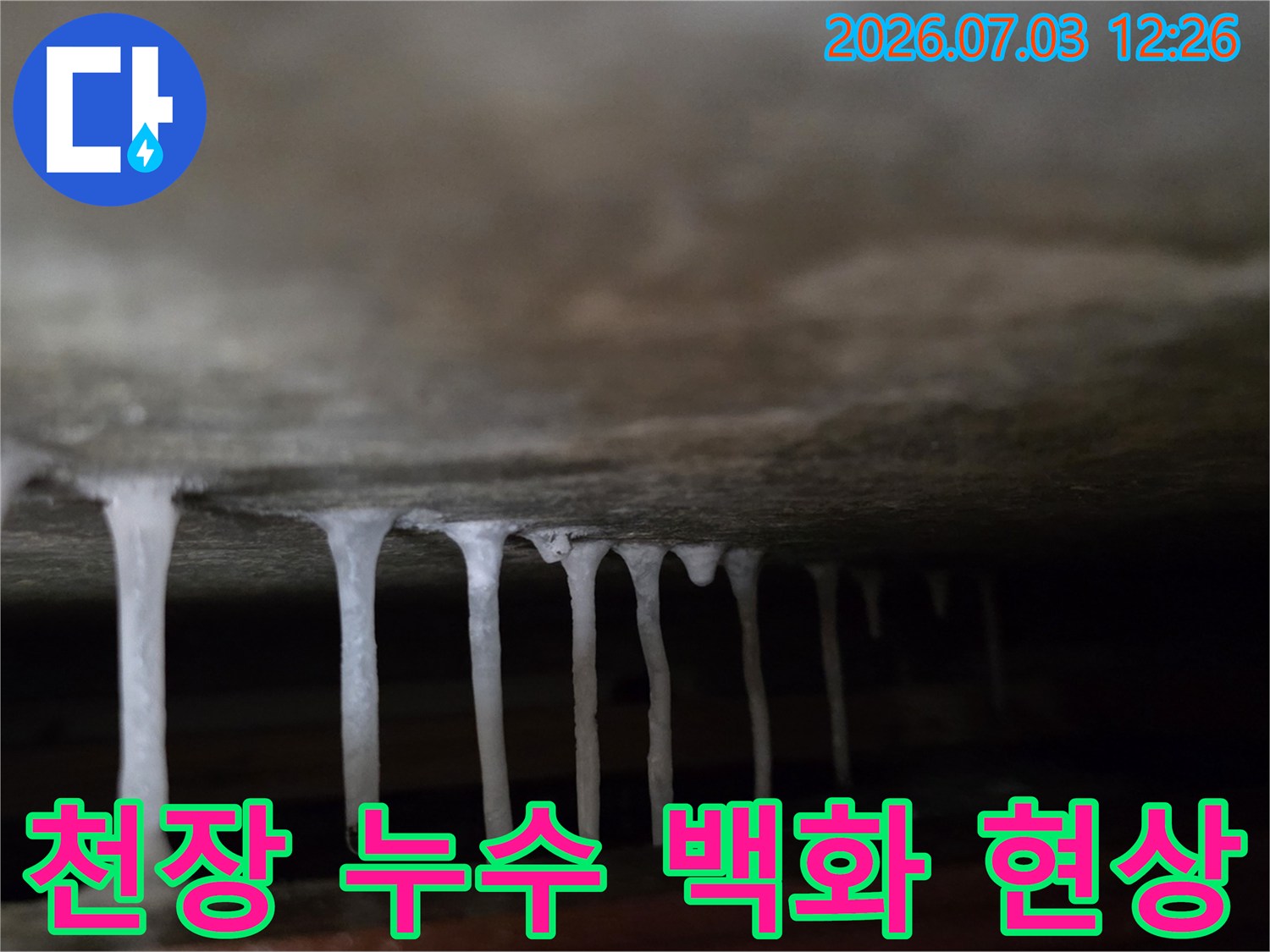 천장에서 고드름 모양으로 굳어버린 하얀색 백화 현상 모습