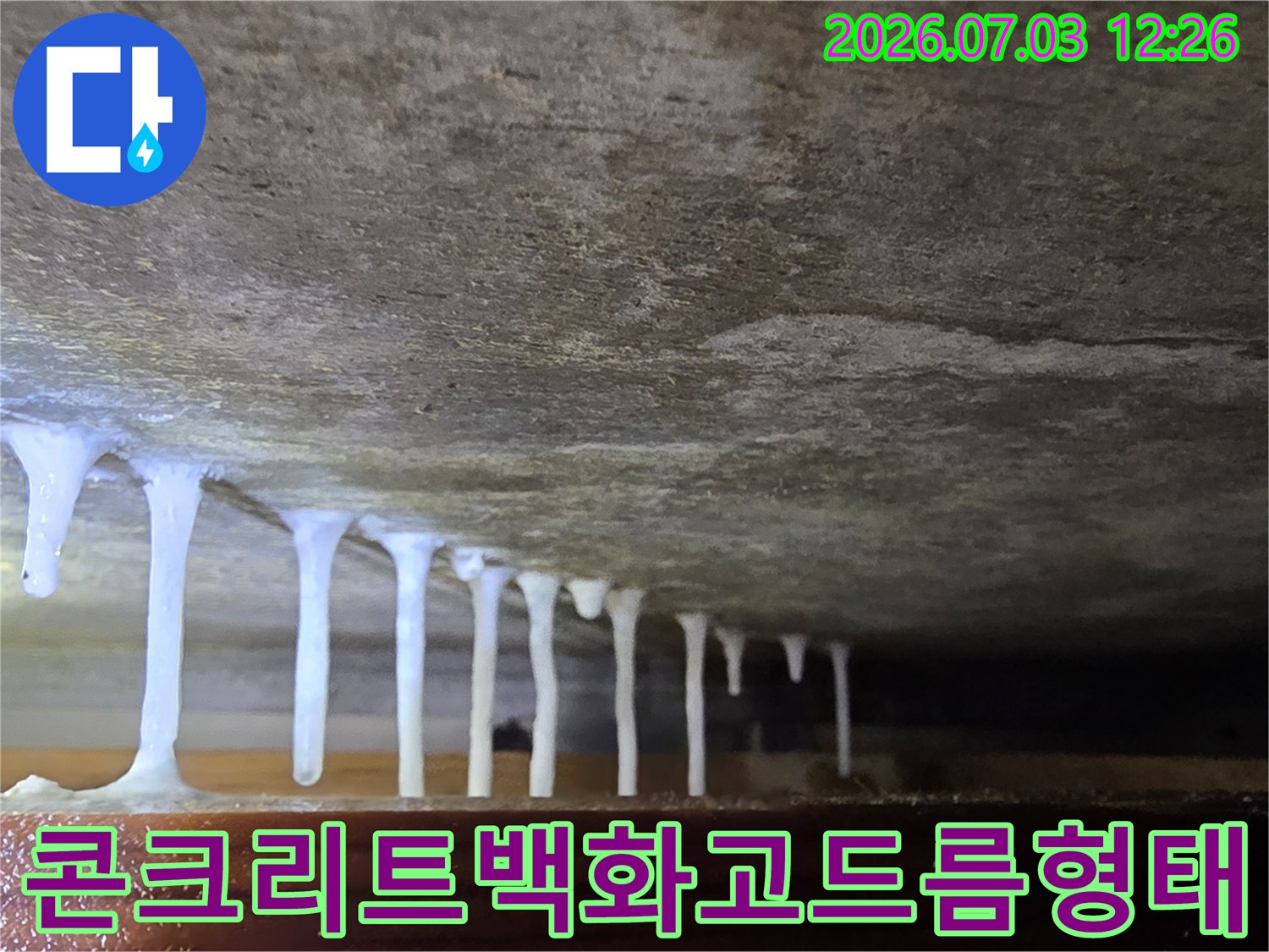 콘크리트 재질의 천장에서 발생한 백화 현상과 고드름 모양