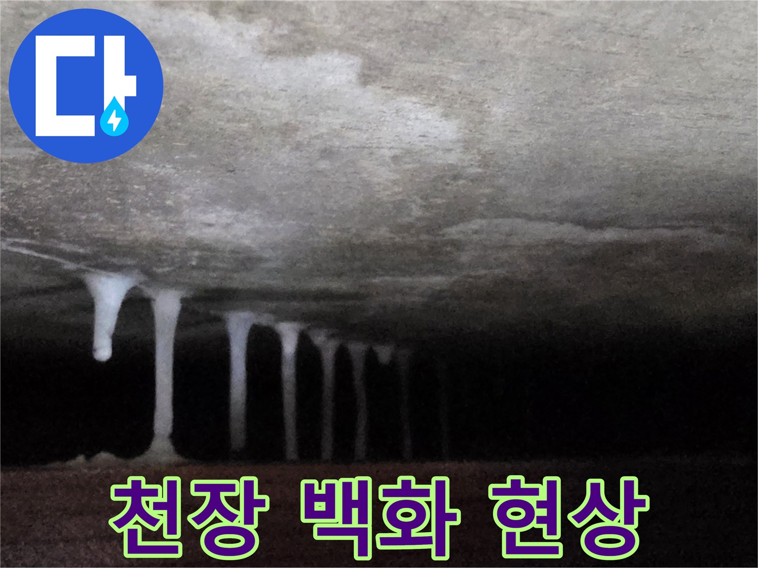하얗게 굳어버린 석회물 자국 - 누수 발생 증거