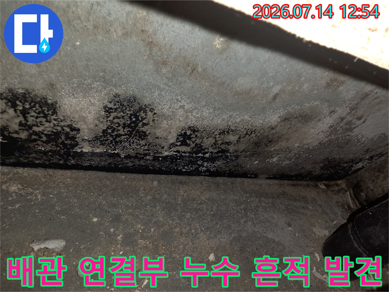 싱크대 하부 배관 부위의 곰팡이 및 습기 오염 상태
