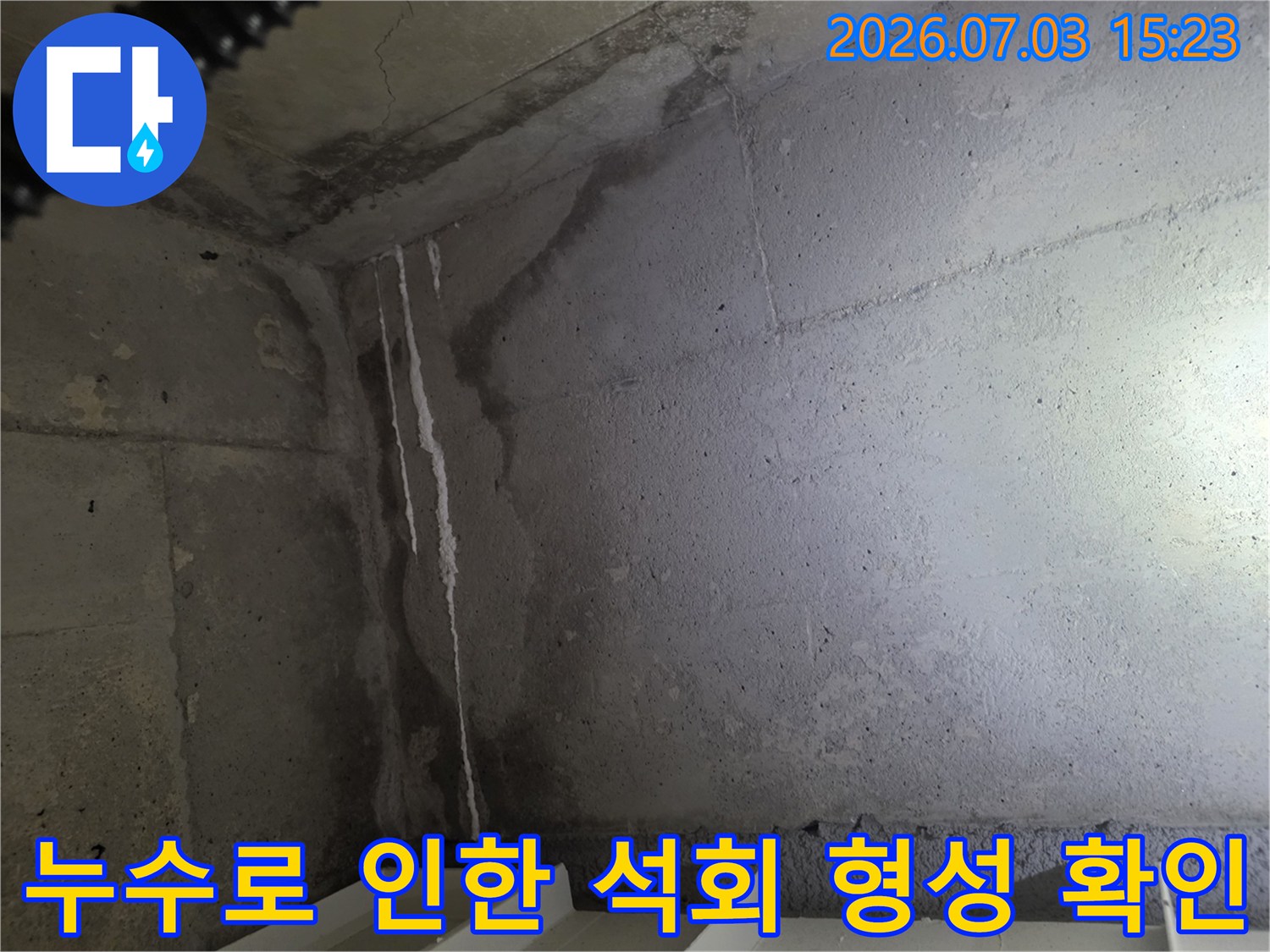 천장 콘크리트가 물에 젖어 하얗게 변한 모습을 근접 촬영한 사진입니다.