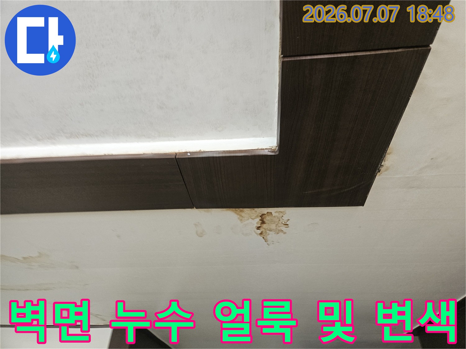 벽면과 천장 경계 부위의 곰팡이와 물자국이 선명한 현장 사진