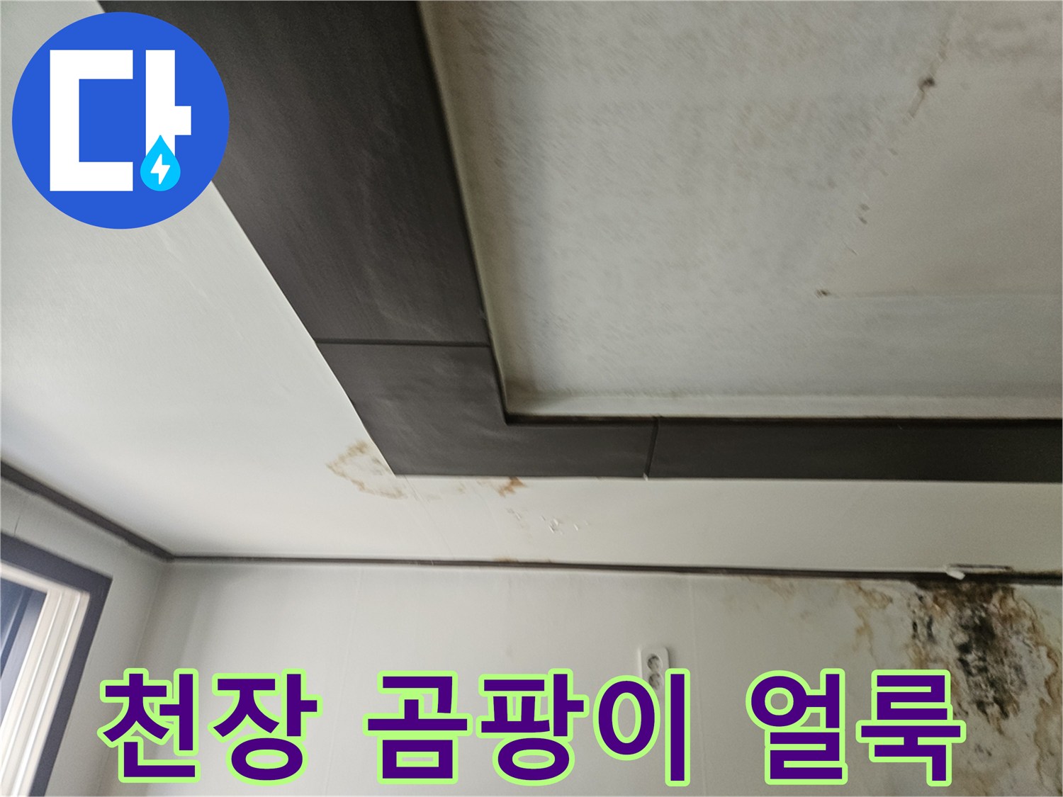 성북구 정릉동 아파트 천장 벽면의 곰팡이와 물얼룩 상태