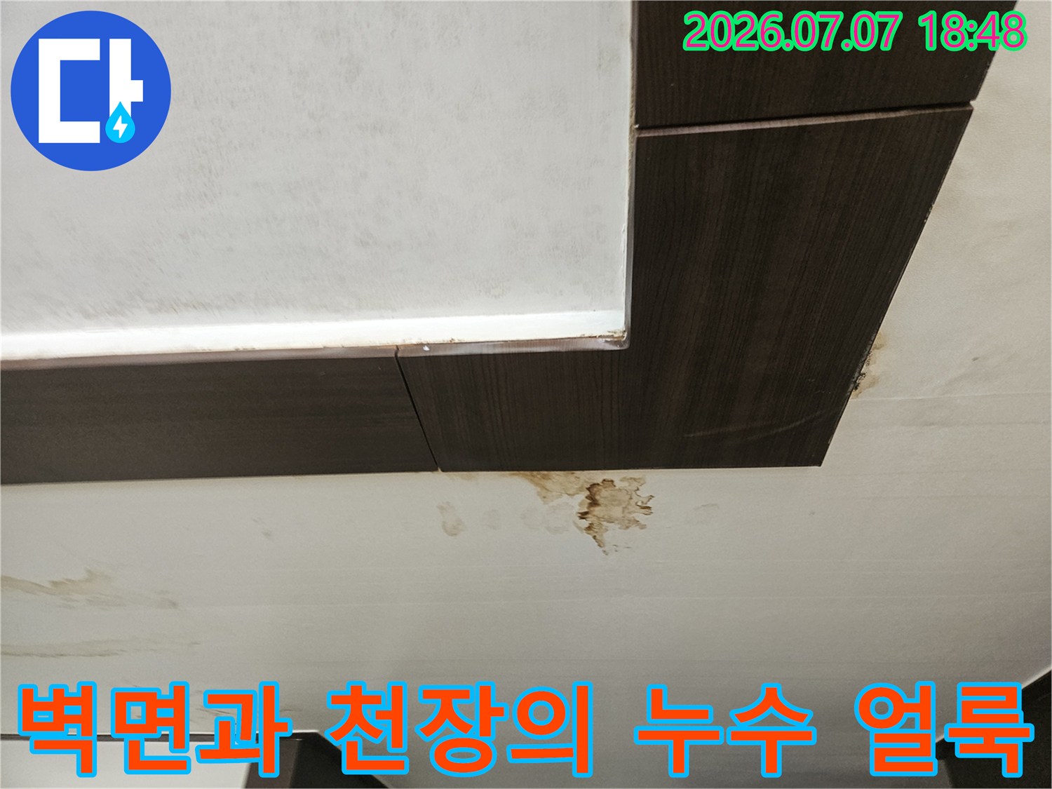 천장 마감재 아래로 번져나간 물자국과 곰팡이 발생 부위