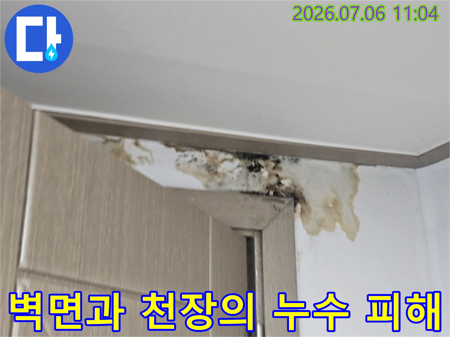 누수로 인해 변색되고 곰팡이가 발생한 지하층 천장 모서리 부위