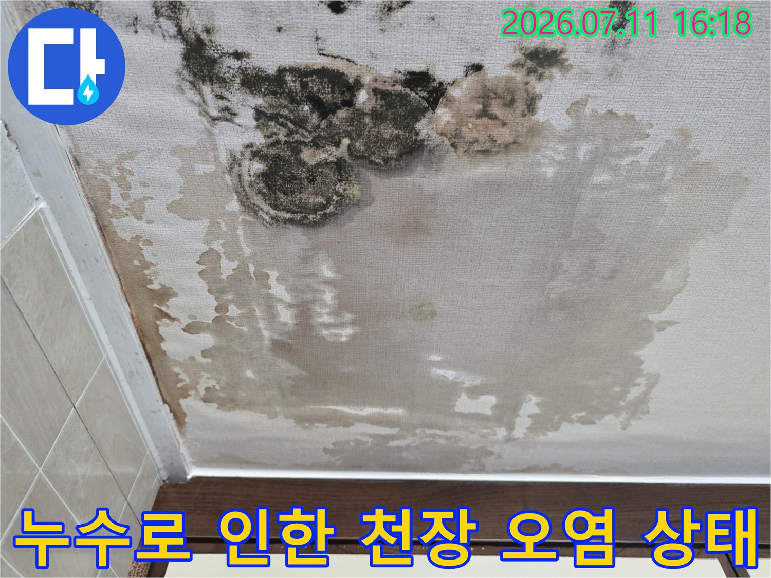 곰팡이와 수분으로 인해 변질된 아파트 내부 천장 벽면