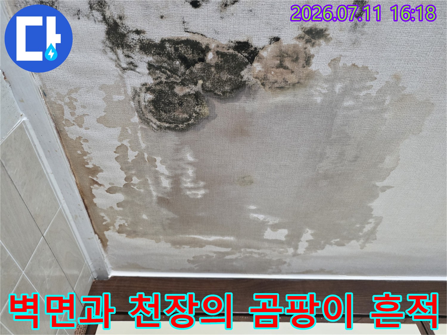 천장 마감재에 발생한 습기 및 곰팡이 오염 상태